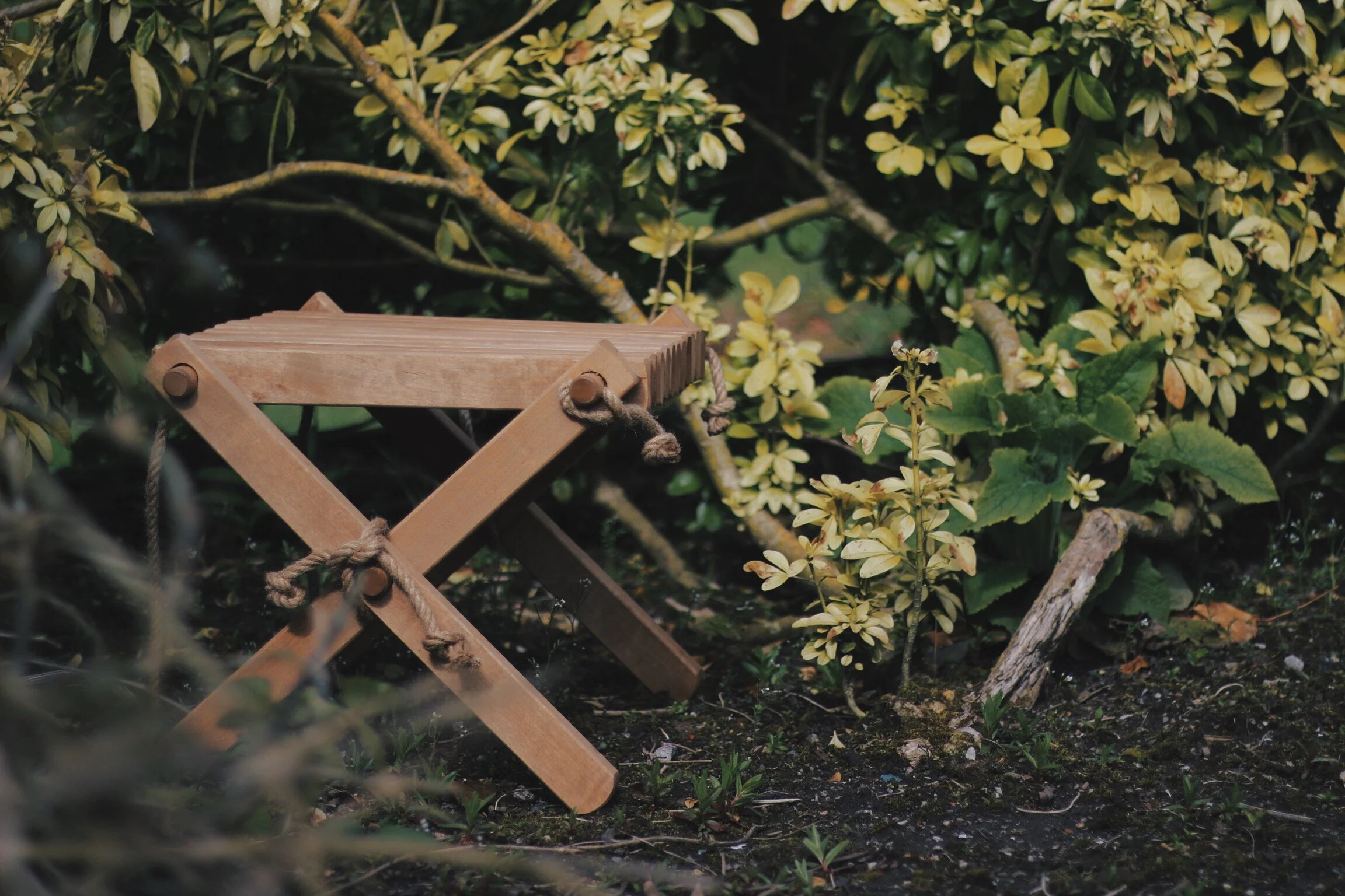 Thoughts on Gardening with Rowen &amp; Wren (Ad)