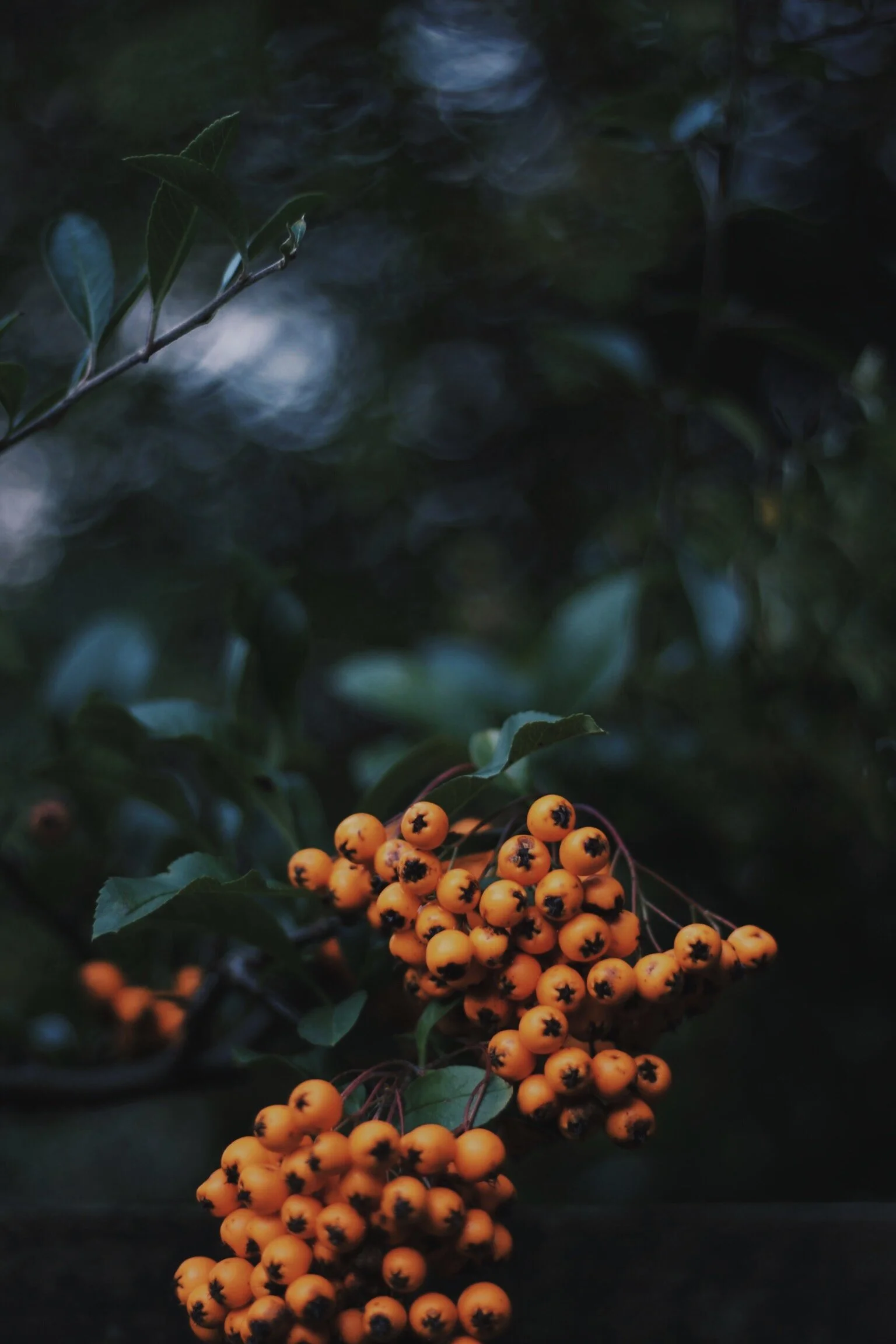 Photographing the Seasons