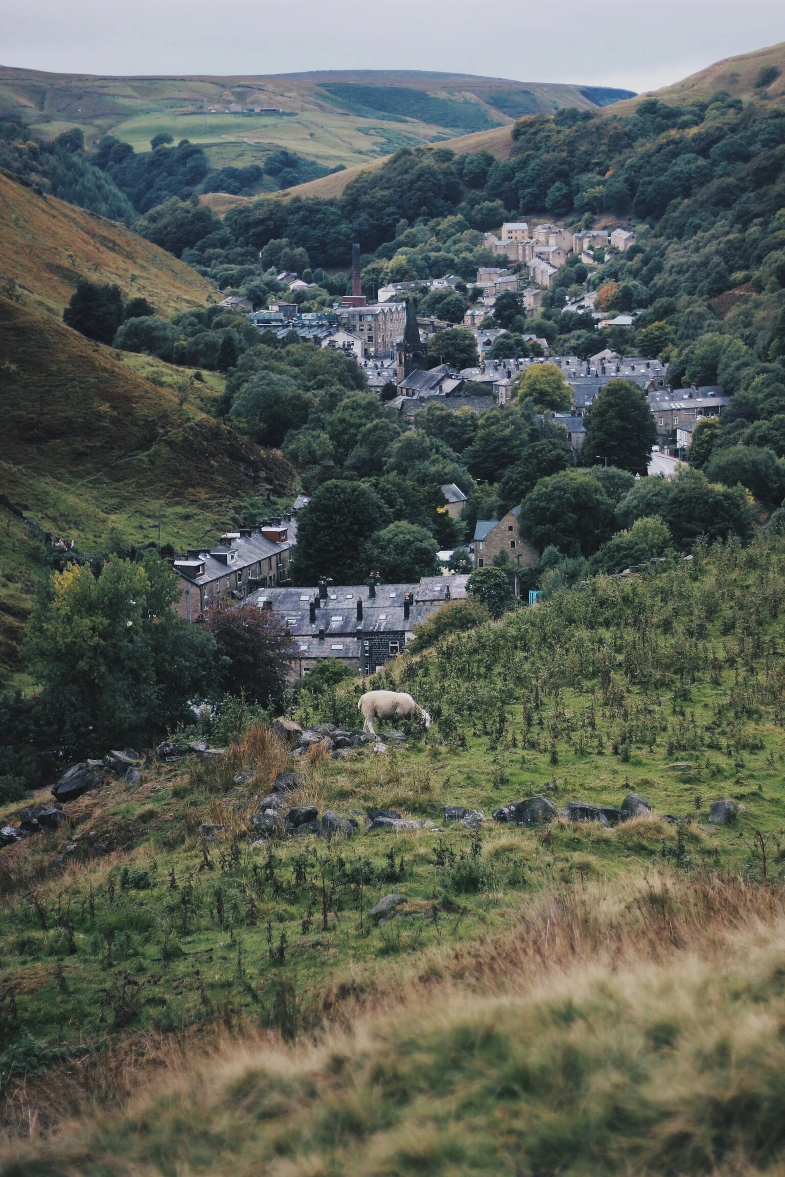 Thoughts on Moving to the Countryside