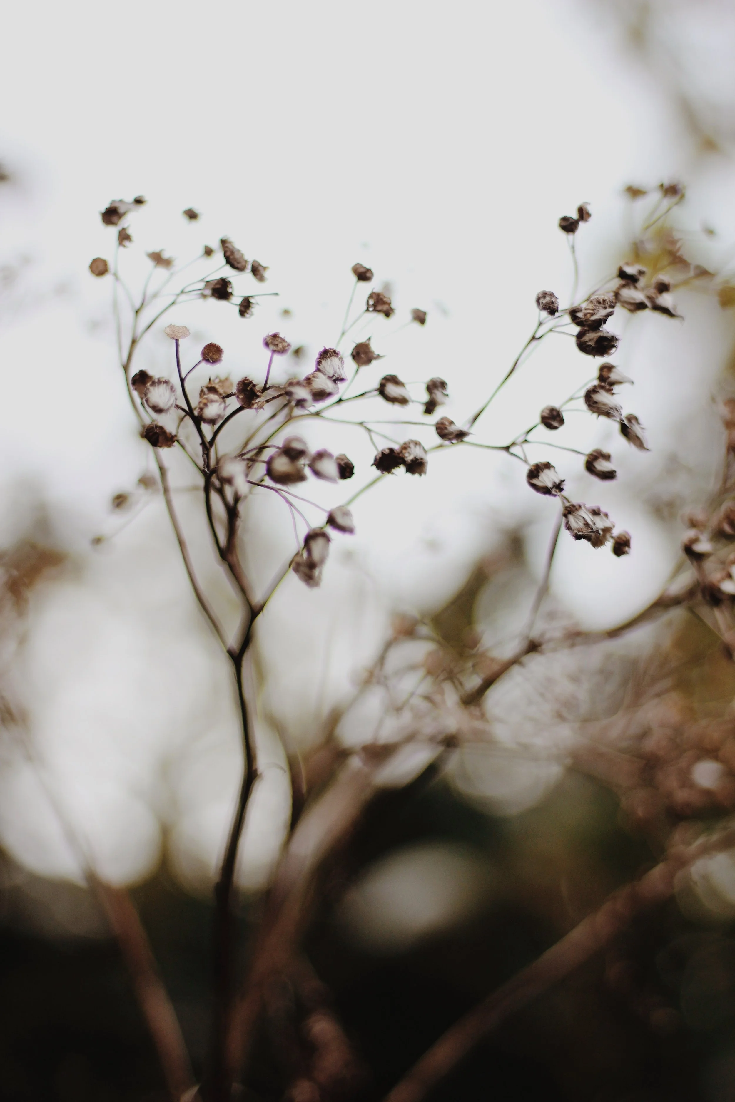 Slow Living: The Reality