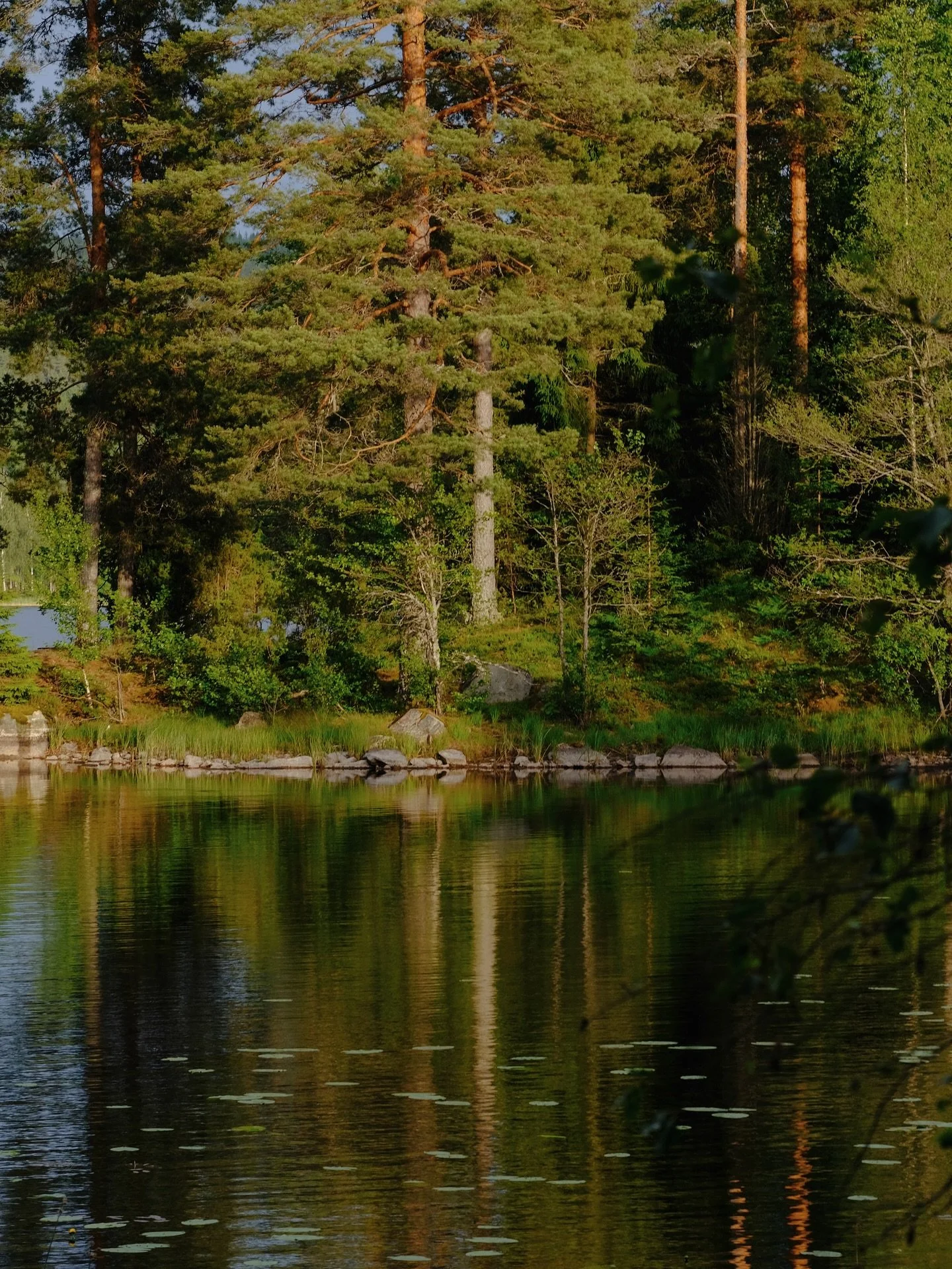 Memories of one of my favourite places I&rsquo;ve slept this year: swimming among the waterlilies, sprawling on the deck of the cabin with my book, cooking over the open fire, late night dips before bed, exploring the lake by canoe, running between t