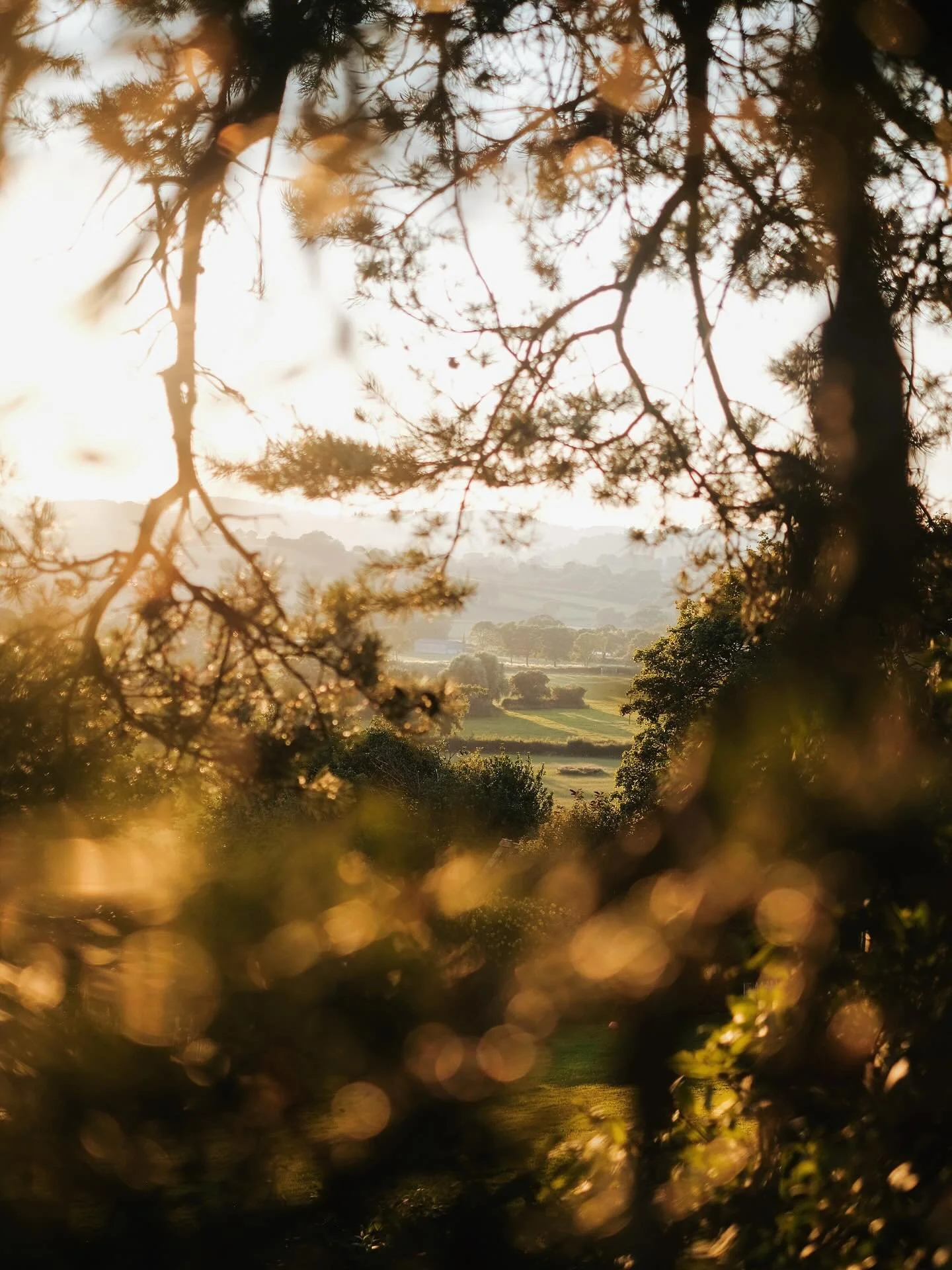 It was an absolute joy to capture this beautiful house and garden in my favourite little Devonshire nook last summer, chasing golden light both indoors and out. ✨

#hotelphotographer
#travelphotographer 
#gardenphotographer 
#magichour