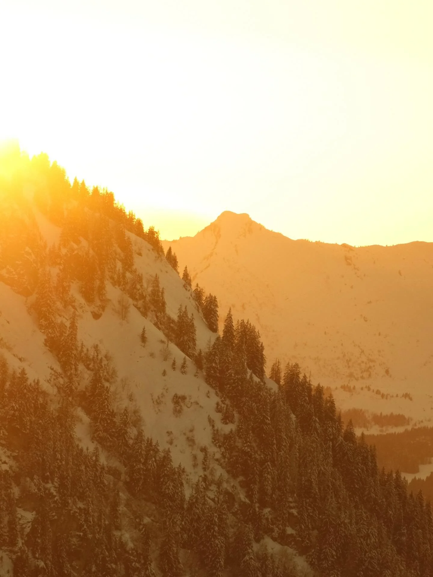 The French Alps. Marrakech. Nice. Puglia. Sweden. Athens. Hydra. Mykonos. Patmos. 

2025 was an exciting year of travel, both for pleasure and for work (more and more, the two intertwine). I&rsquo;m yet to book my first adventures of 2026, but my bra