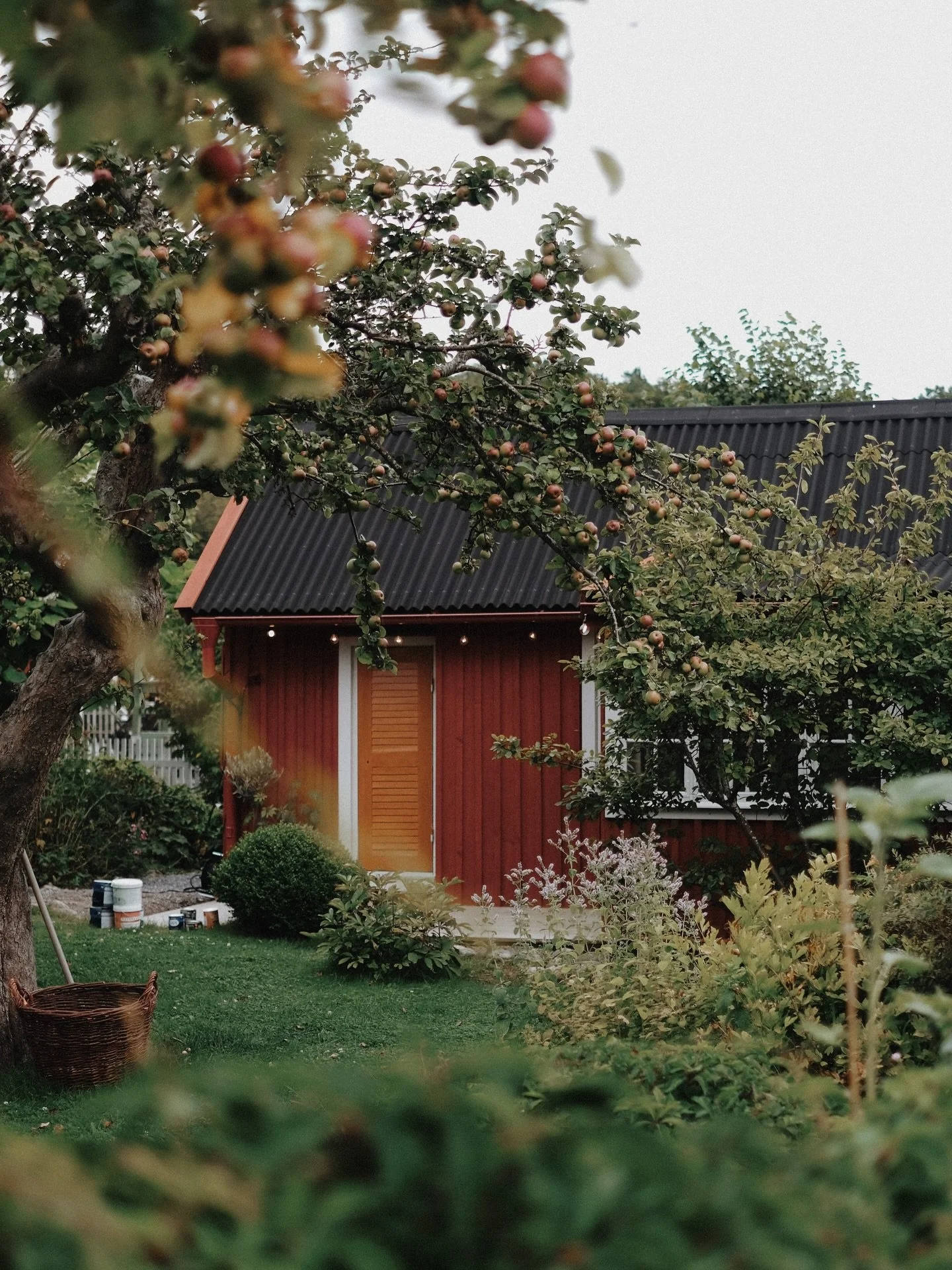 A wander through Slottsskogskolonien, Gothenburg&rsquo;s second-oldest allotment gardens where you&rsquo;ll find tiny wood-clad cottages and luscious gardens brimming with flowers, vegetables and fruit trees. Heaven on earth for anyone like me with a
