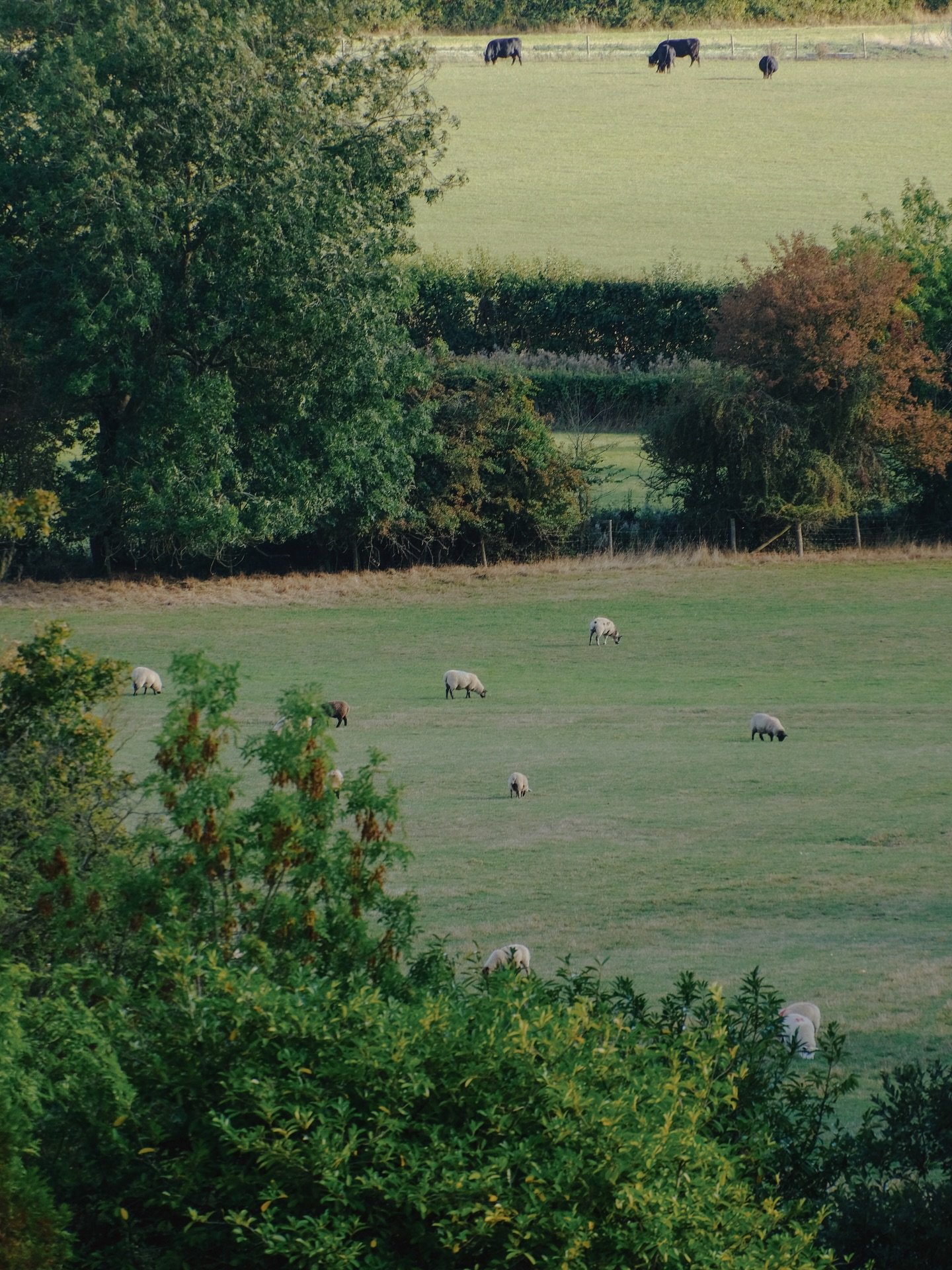 Busy plotting big adventures for 2026 but, for now, a few snaps from somewhere a little closer to home. @hyllhotel opened in the Cotswolds back in September &mdash; an idyllic getaway for cosy reading nooks (and a well-stocked library), choose-your-o