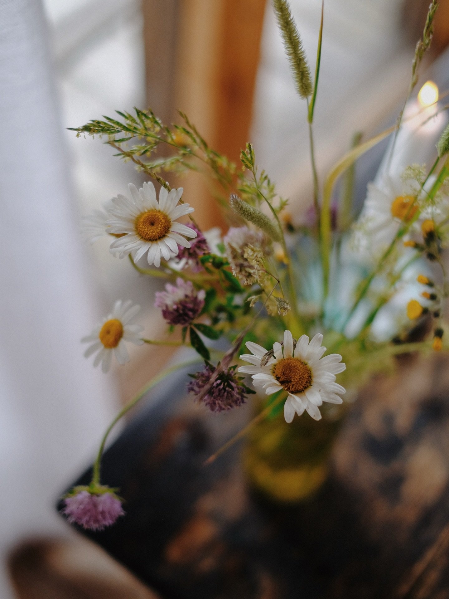 Soon, the wildflowers will return.

📸 @naturbyherden