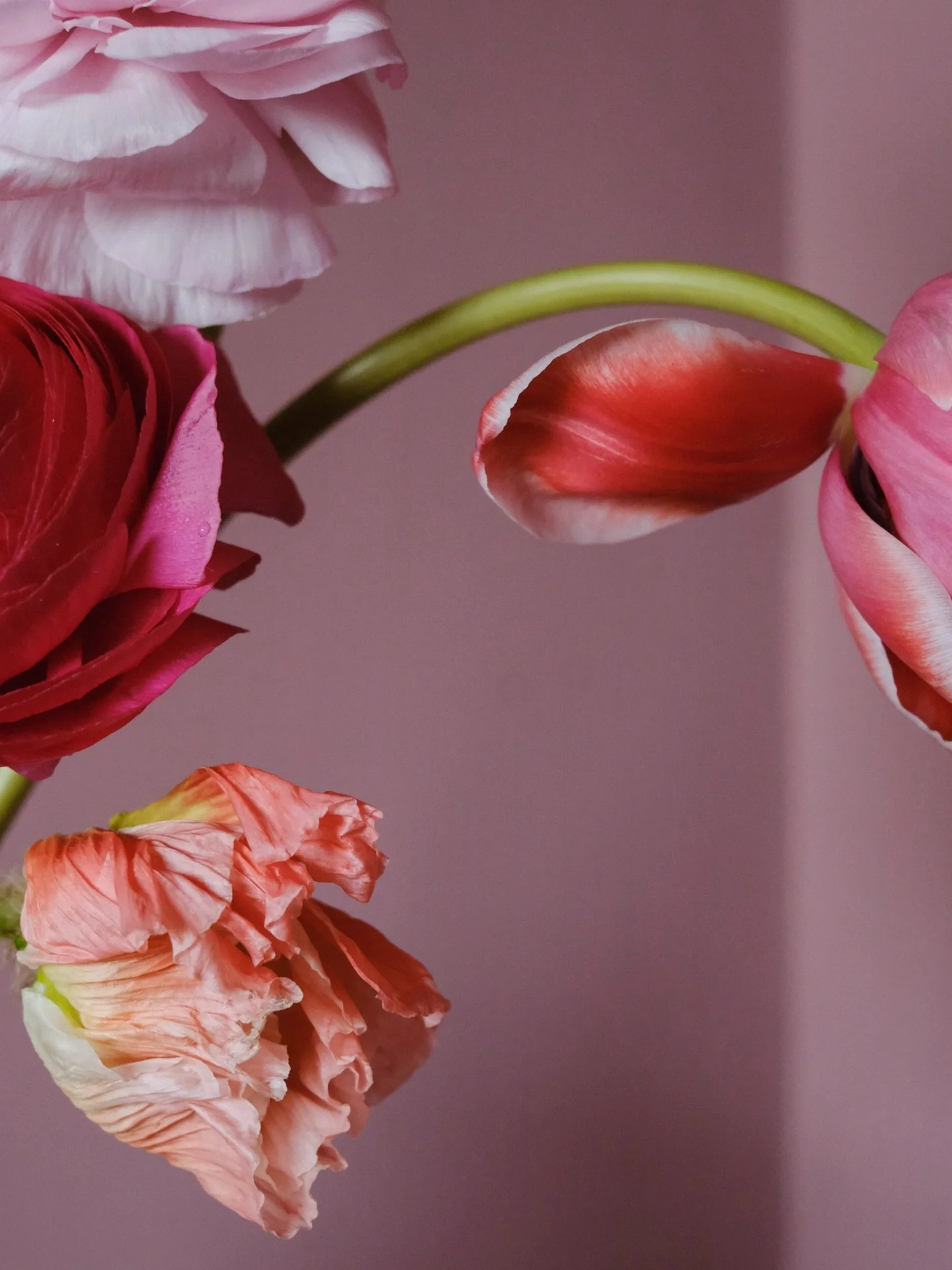 Adding a dash of joy to my home on this wild wet, windy and bafflingly snowy day. Ranunculus, tulips and poppies from @northernflowermcr, acting as a reminder that next year I need to introduce early spring flowers to my own garden.