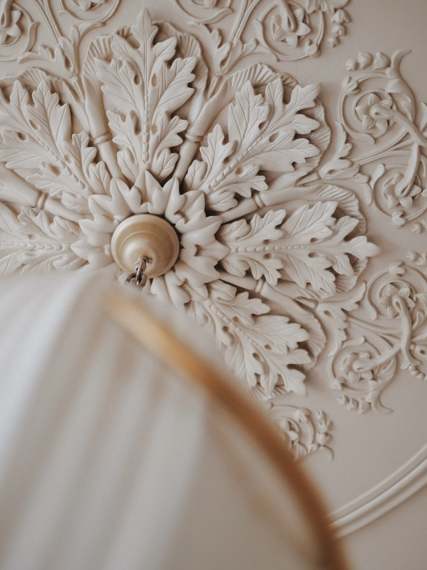 The most magnificent pendant light, tracked down online to complement that statement ceiling rose. Every little detail of Heather&rsquo;s Notting Hill house is exquisite and an utter pleasure to shoot.

📸 for @byheatherkane last spring