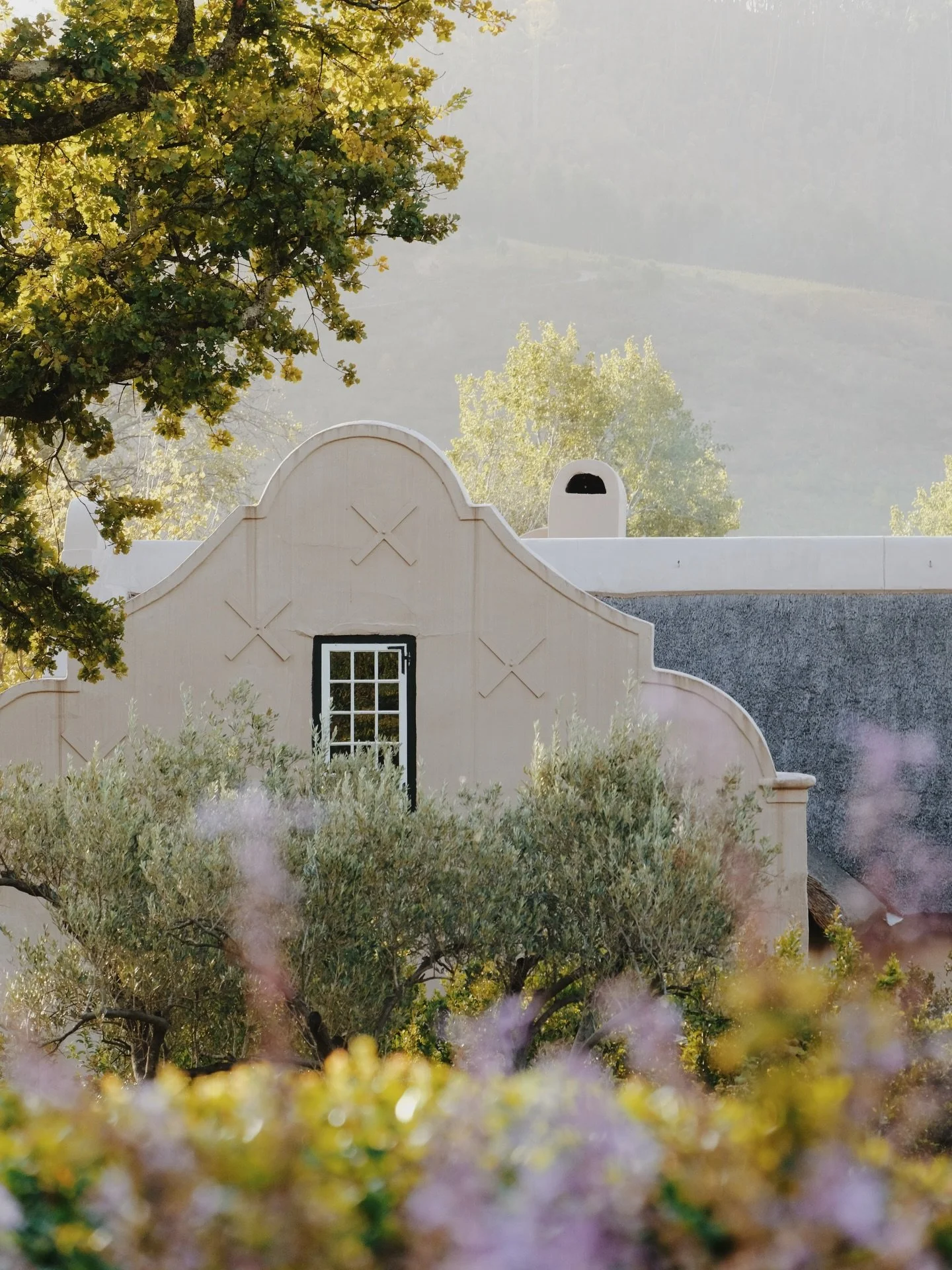 Four favourites from my stay at @sterrekopjefarm, which I can&rsquo;t stop thinking about. Many, many photographs to share from this very special sanctuary nestled in the Franschhoek mountains. I don&rsquo;t think I&rsquo;ve ever had as many replies 