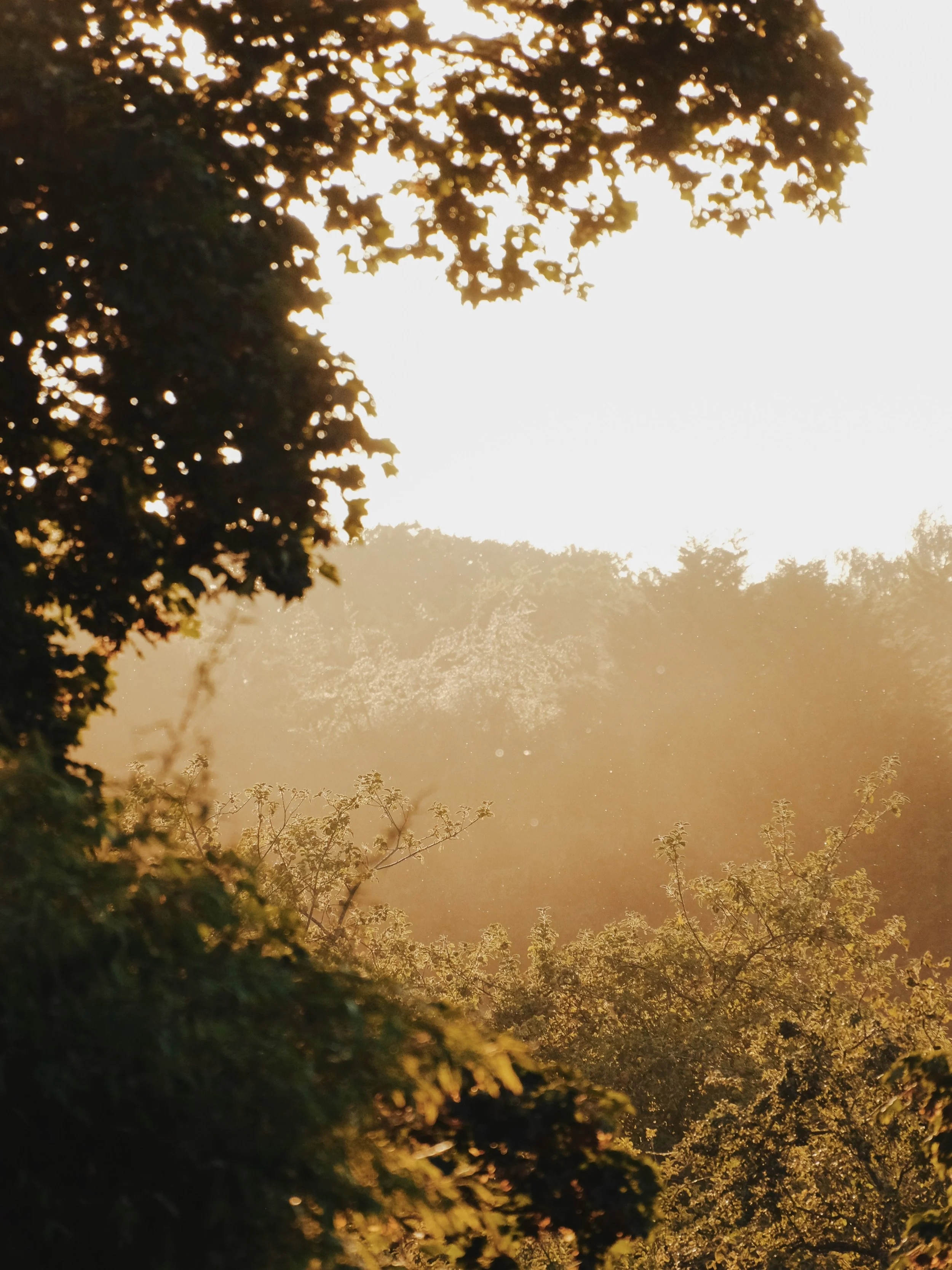 24 hours in the middle of the woods on one of the hottest days of the year. Cooling off in an icy-cold spring-fed pond &mdash; then warming back up in the outdoor shower and tub. Picnics on the deck, feet dangling in the water. Badger spotting by day