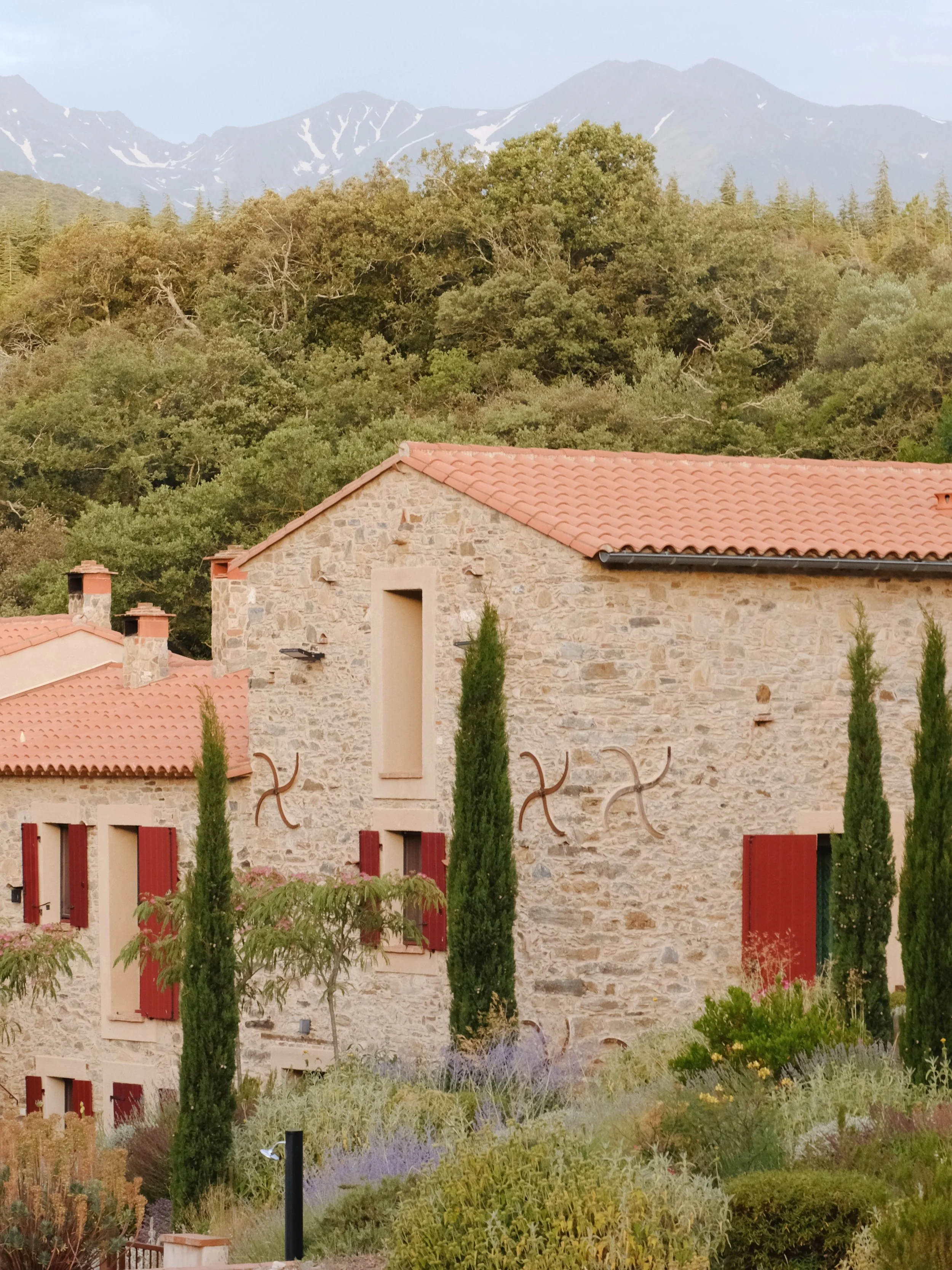 From the gardens of Domaine Madrona, back in June, capturing flora &amp; fauna amidst that spectacular backdrop of the Pyrenees in the distance, behind the beautifully restored guesthouse. 

📸 @domainemadrona