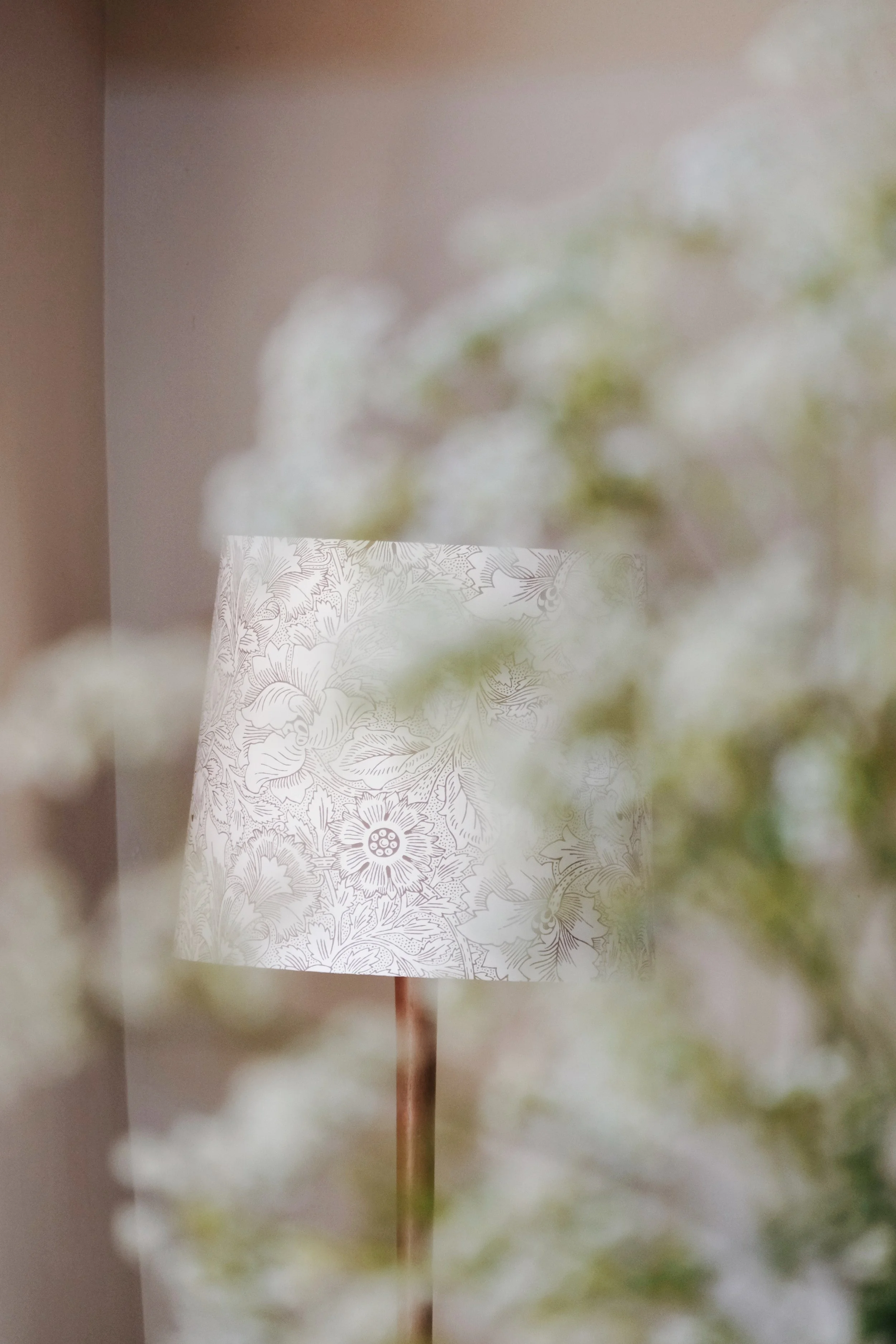 Prussia Cove May 25 - 5 of 15.jpeg