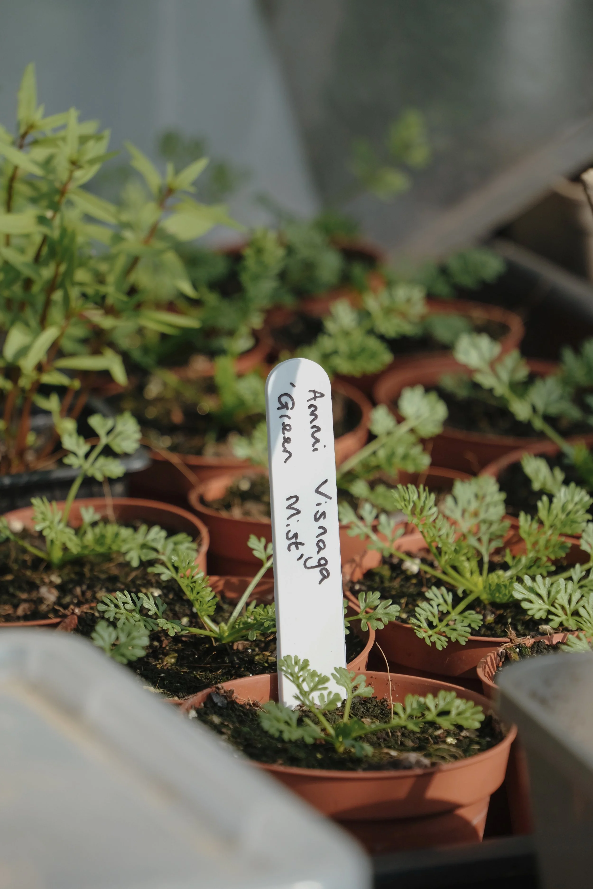 Fowlescombe - 263 of 618.jpeg