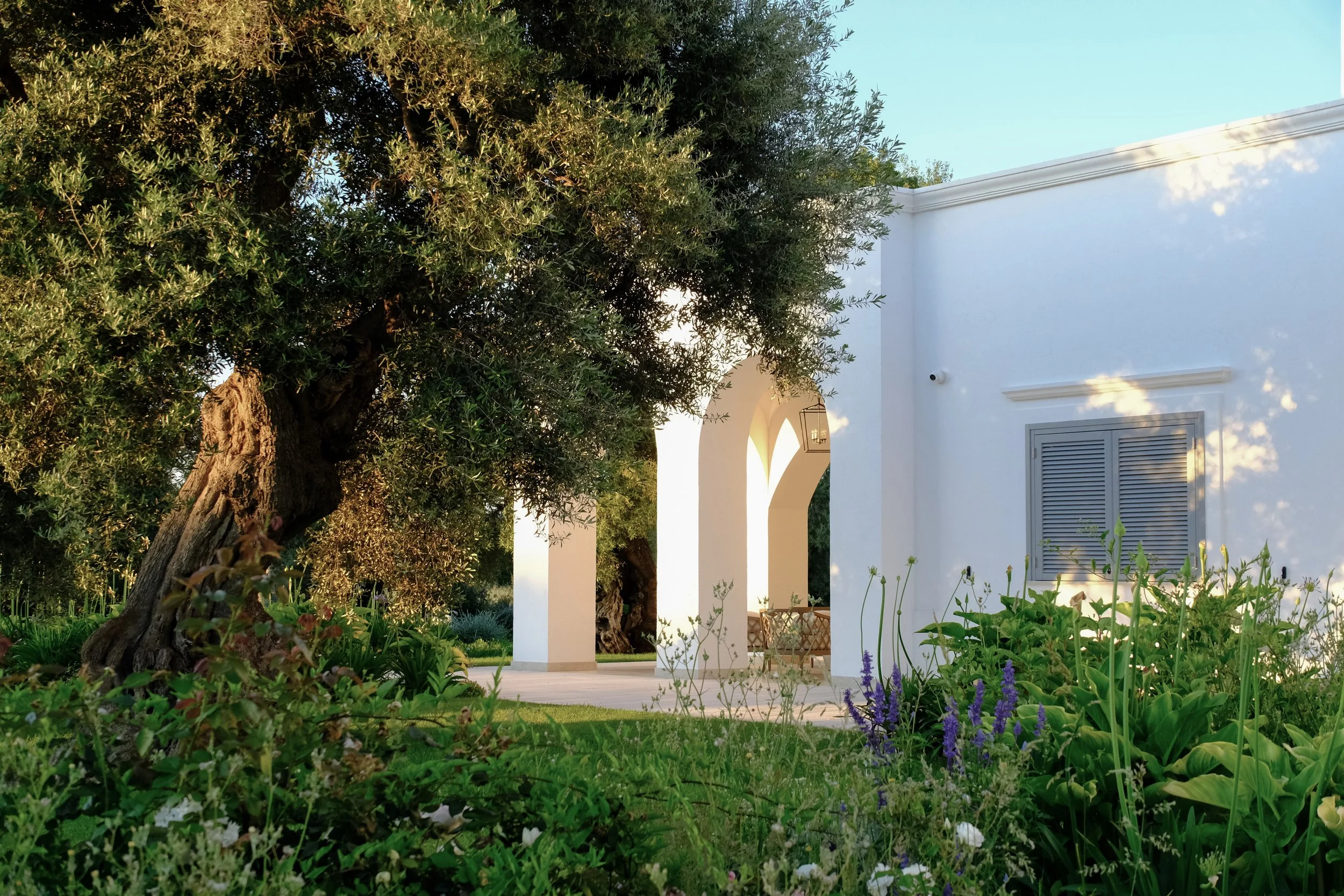 Gianni Birardi - 1 of 2.jpeg