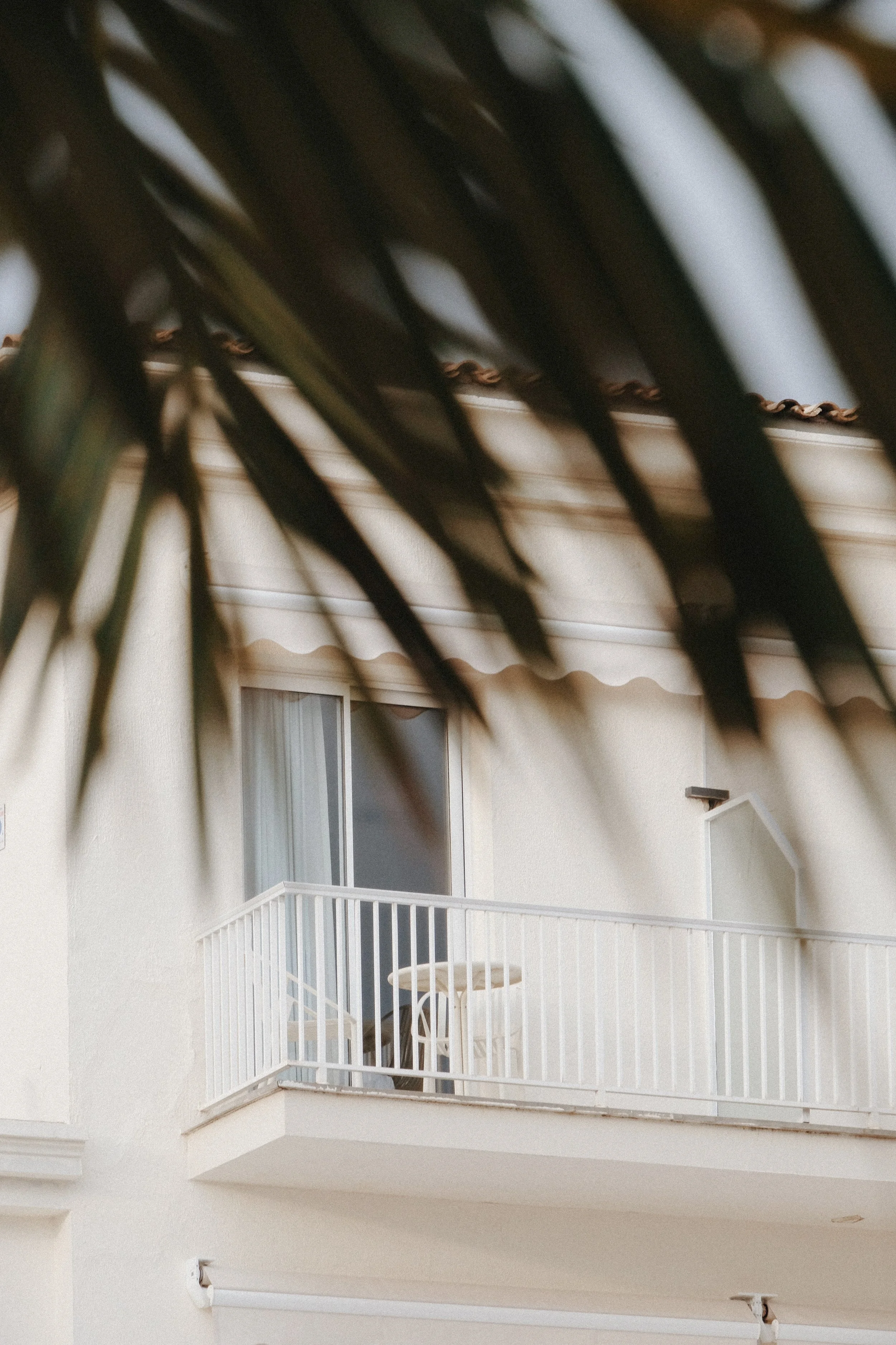 Photo 04-10-2024, 17 40 27.jpg