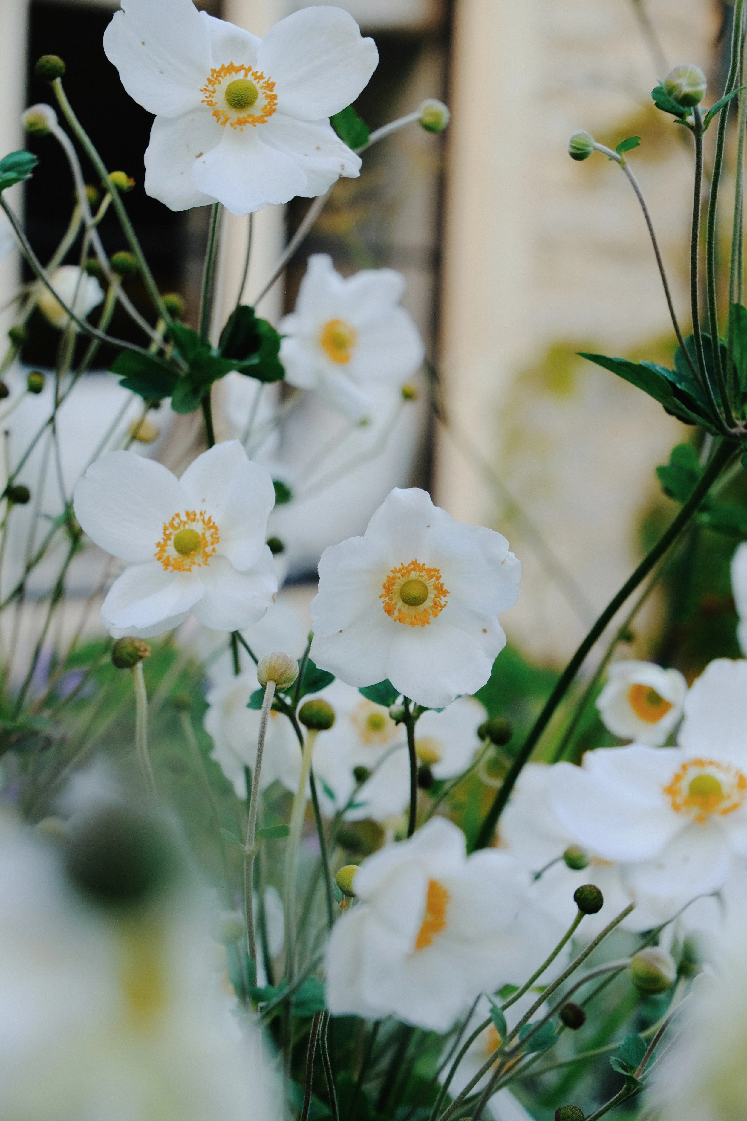 Library - 1 of 1 (23).jpeg