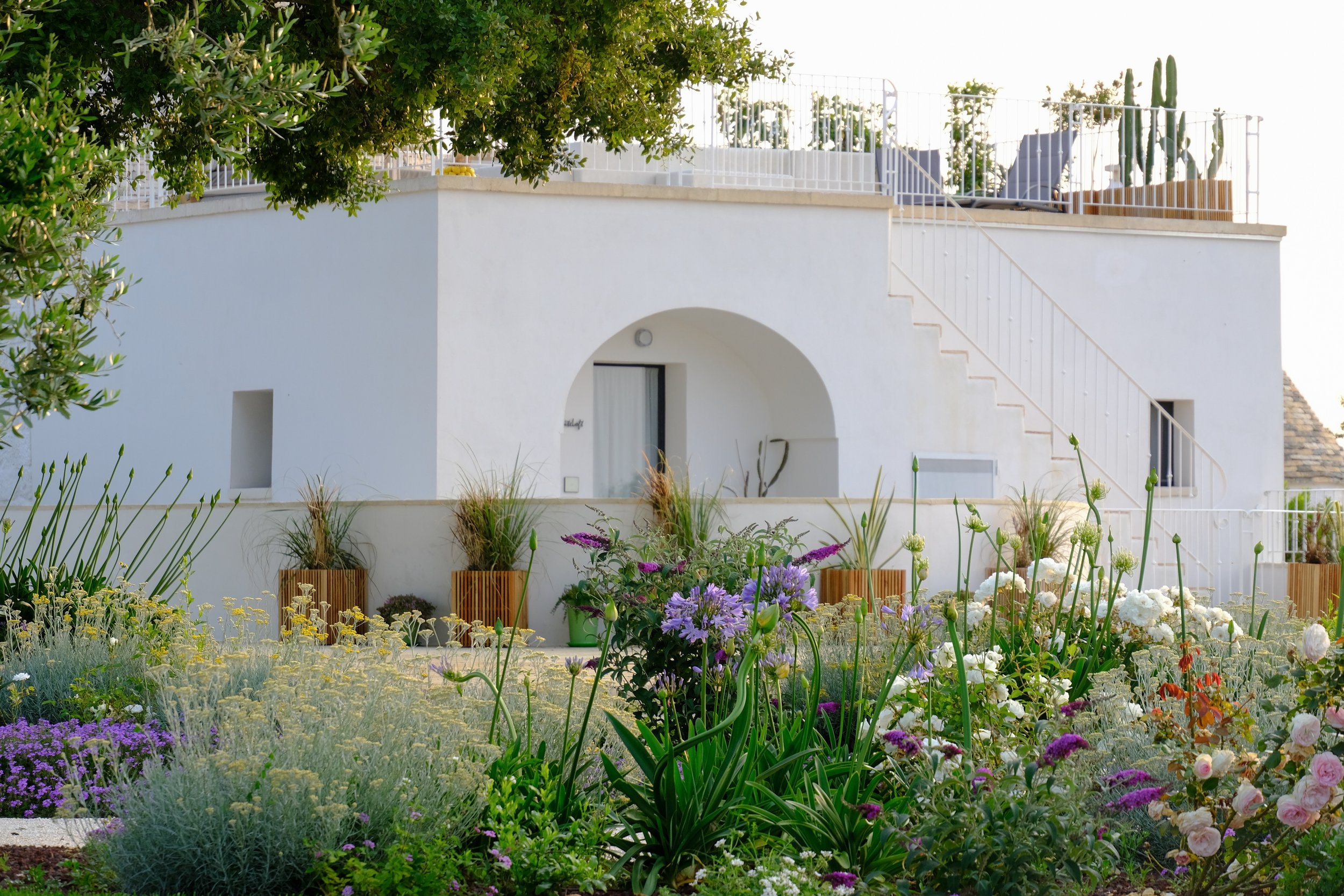 Favourites - 1 of 2 (1).jpeg