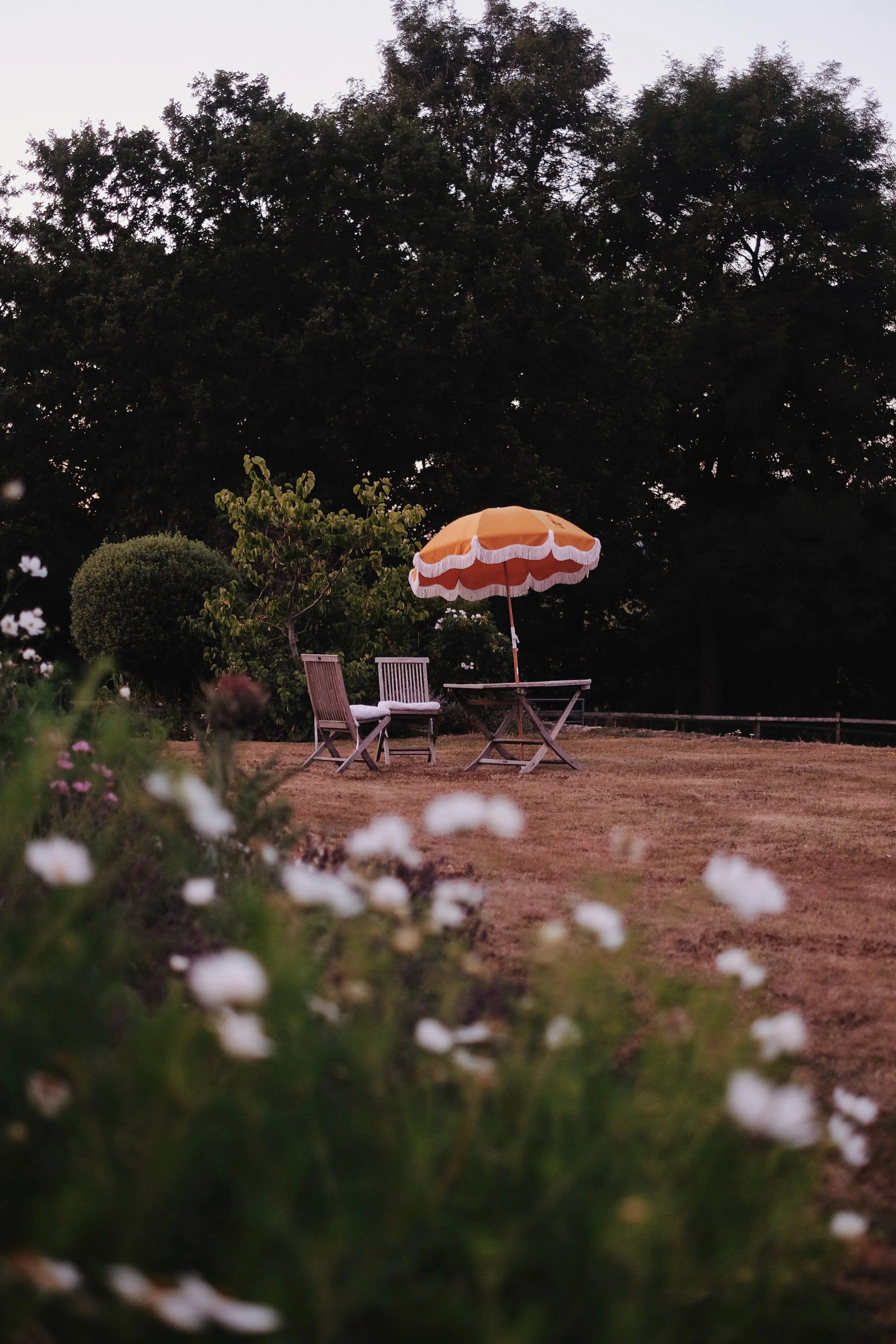 Library - 1 of 1 (9).jpeg