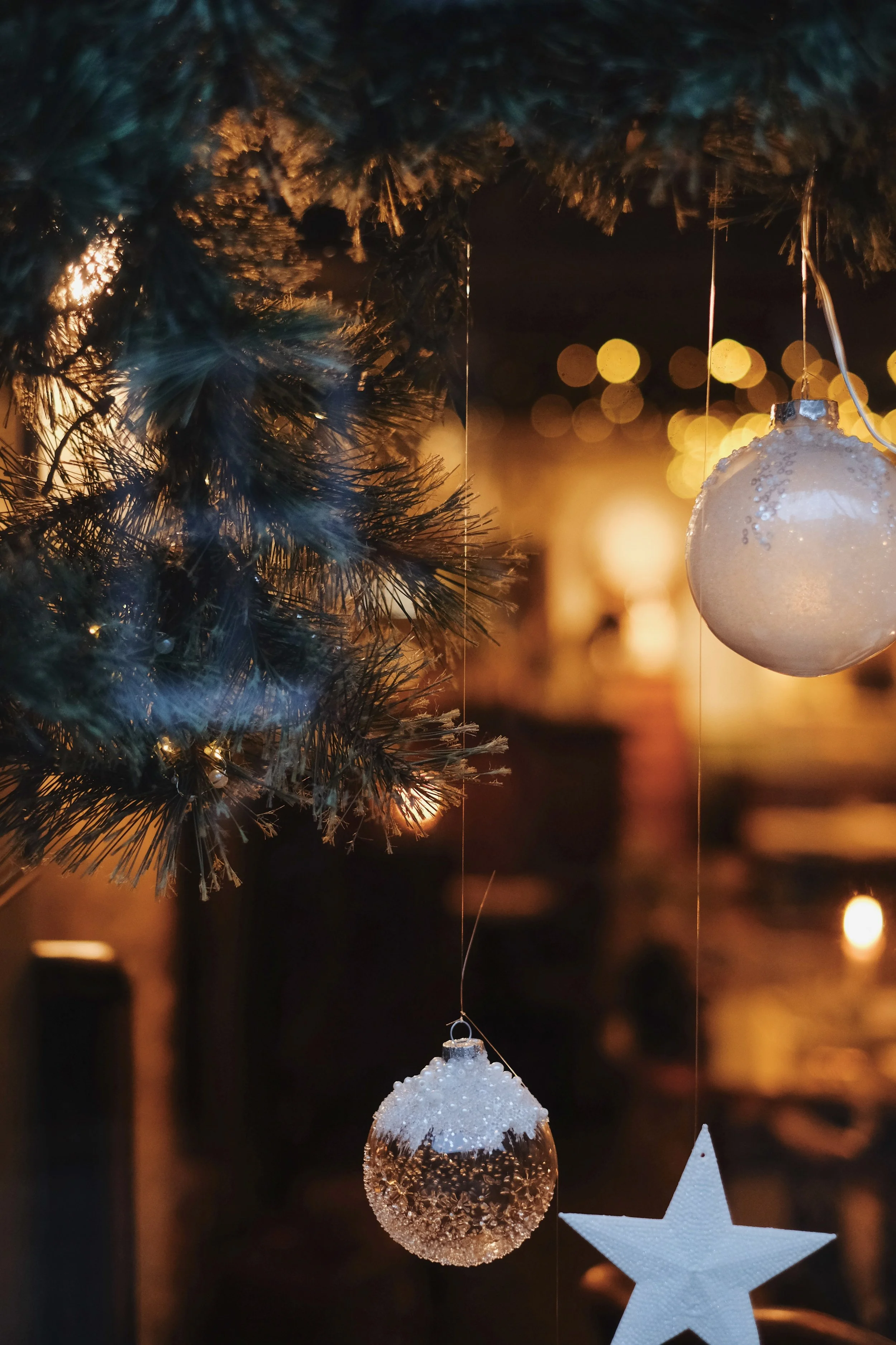 Emma _Lavelle_The_Hawthorn_December25_352.jpeg