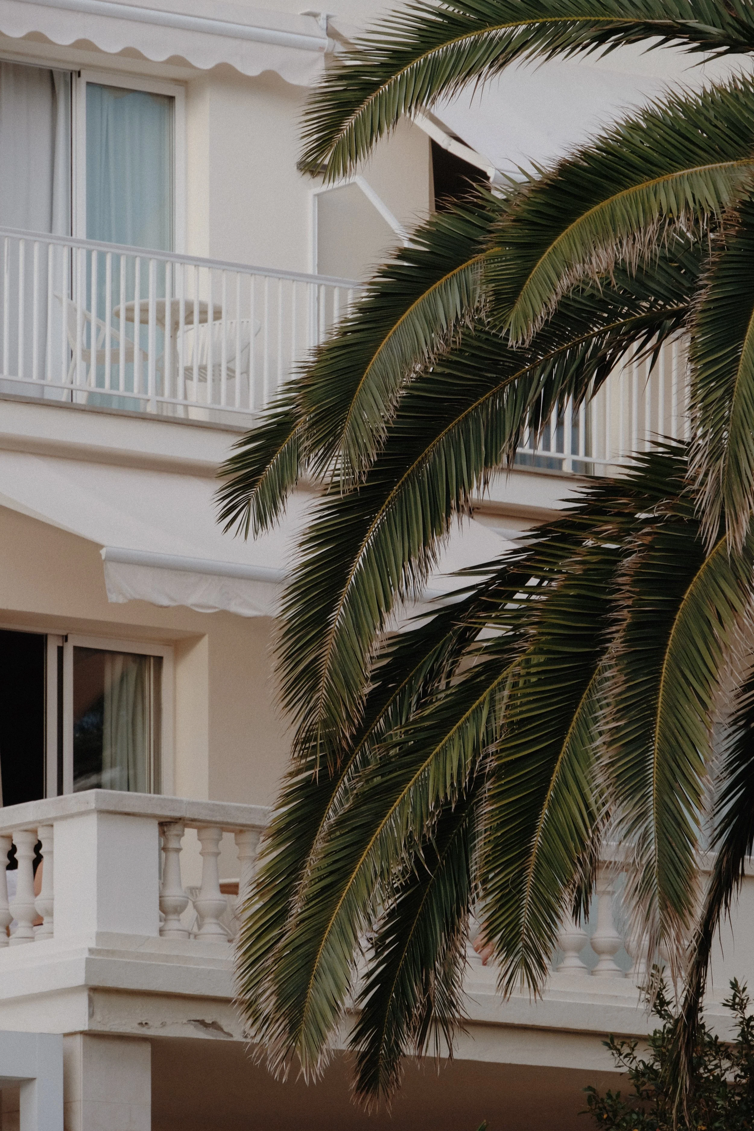 Photo 04-10-2024, 17 40 20.jpg