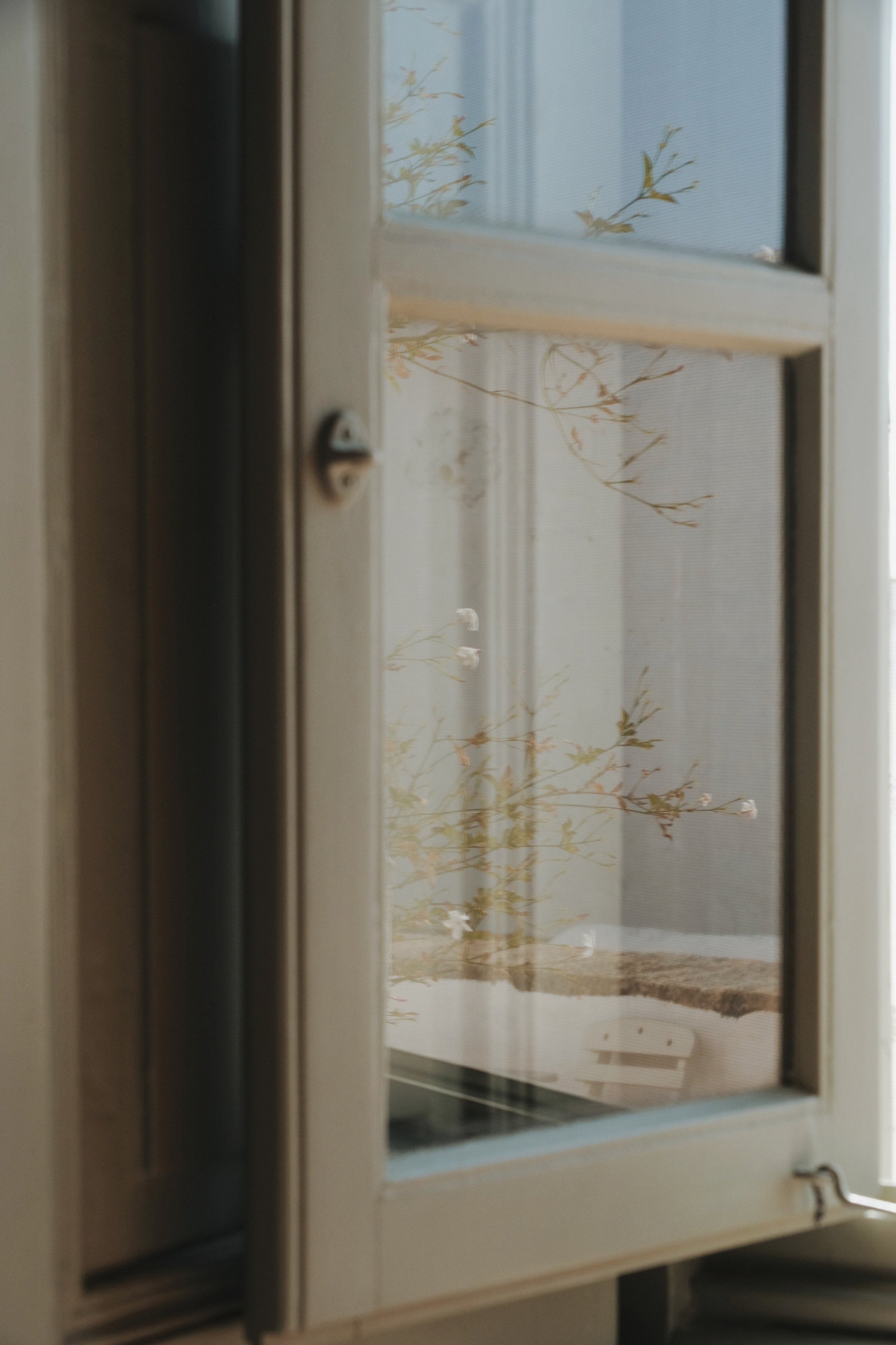 Pagostas - 285 of 773.jpeg