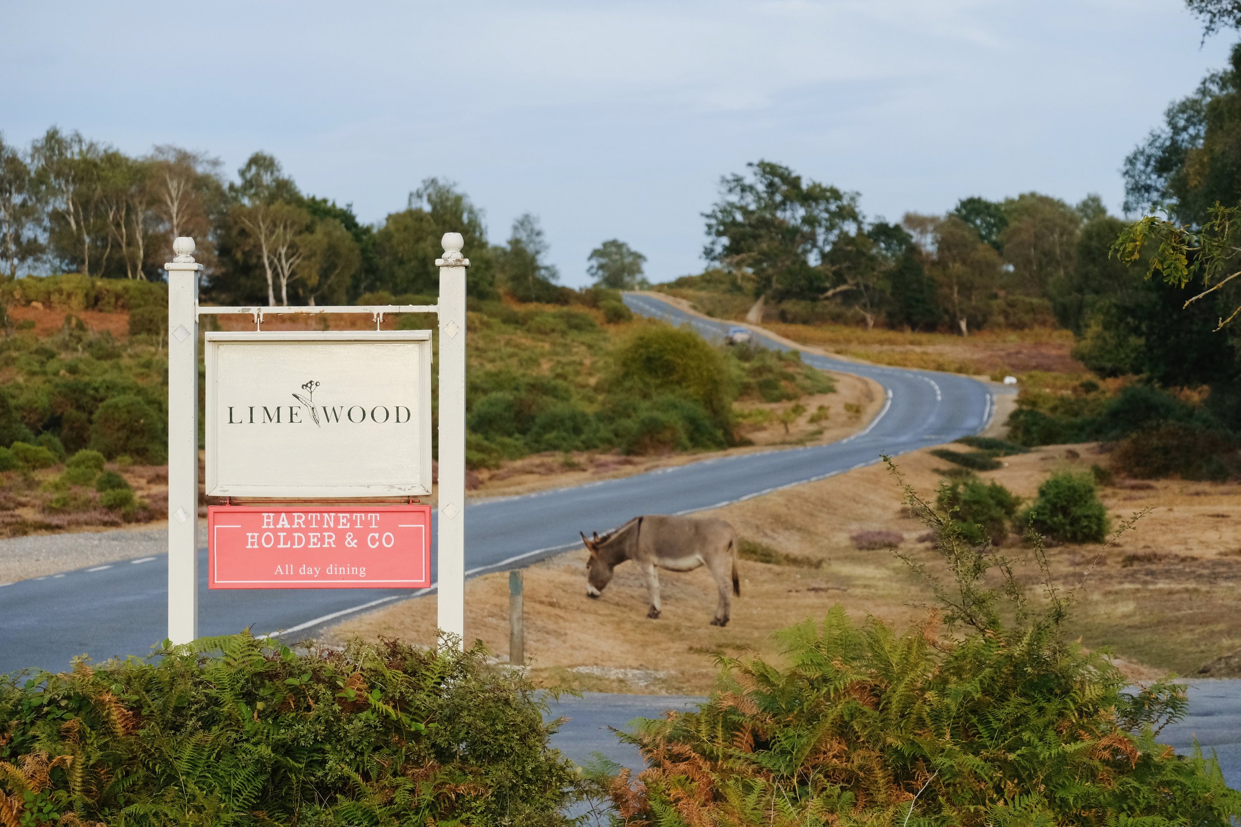 Emma_Lavelle_Limewood_Aug26_524.jpeg