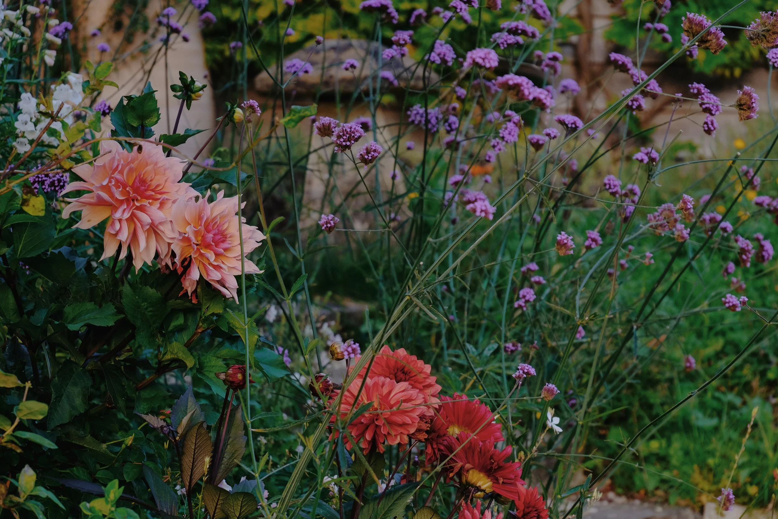 Library - 1 of 1 (24).jpeg