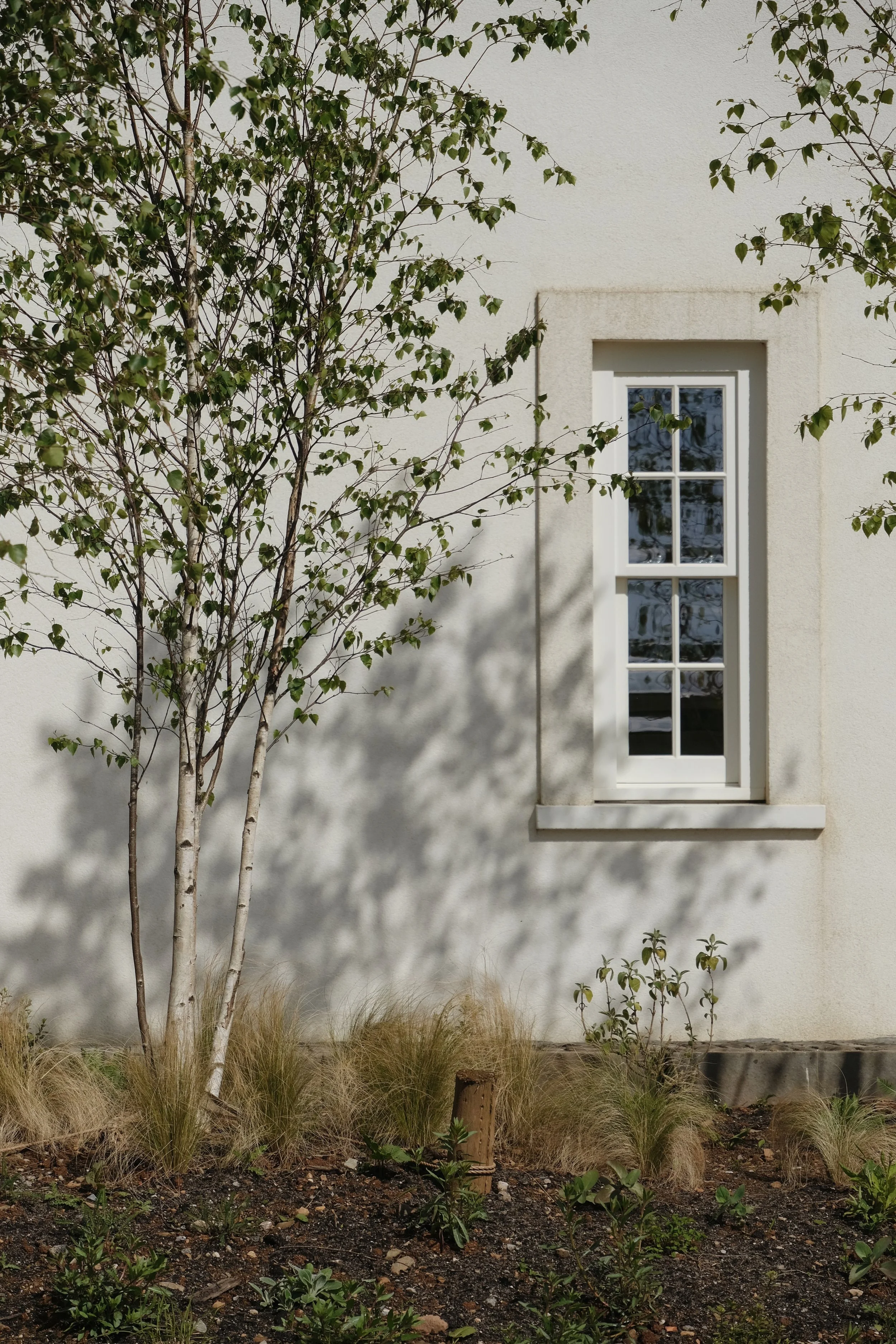 Fowlescombe - 8 of 618.jpeg