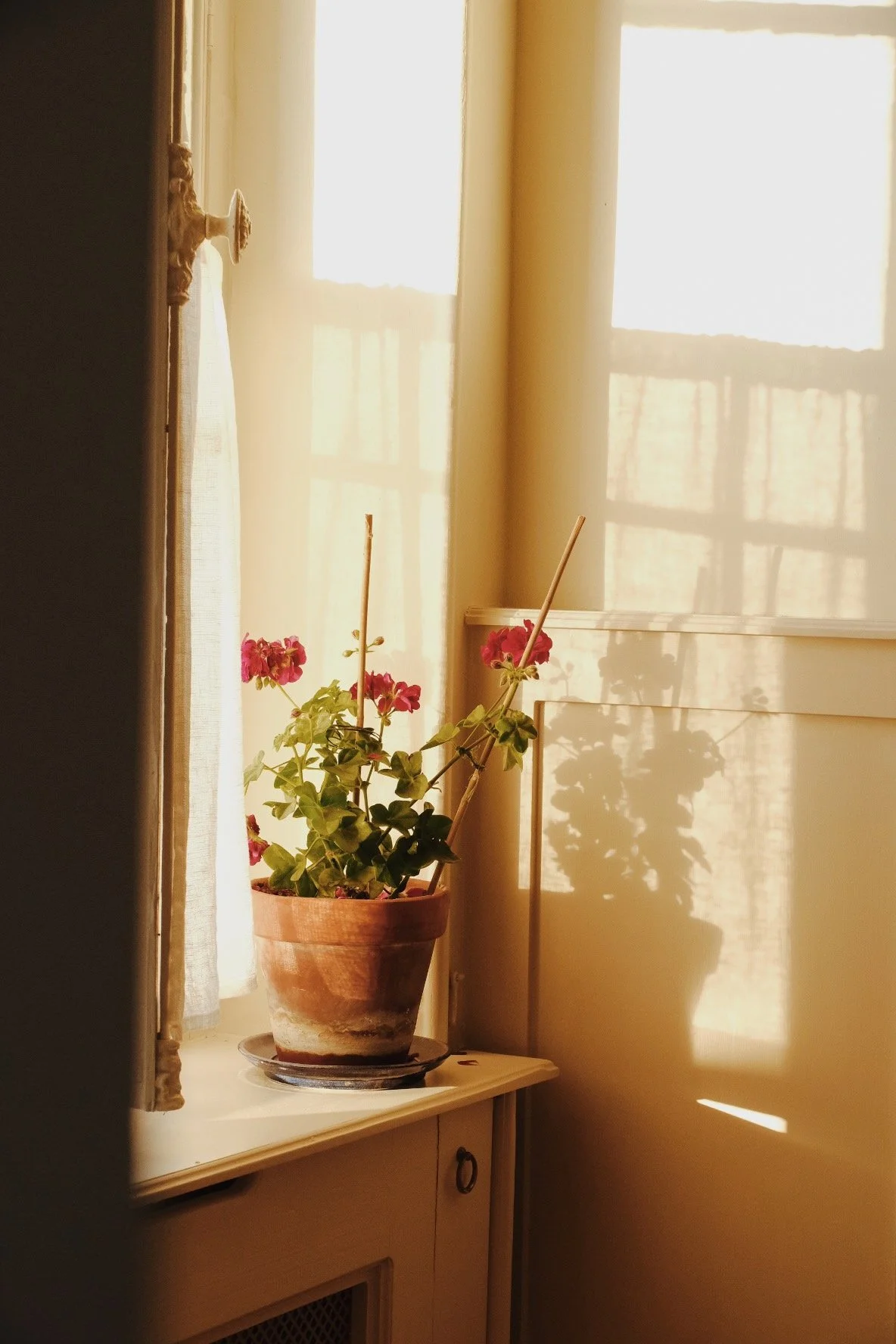 Emma_Lavelle_Chateau_de_Pomiro_1029.jpeg