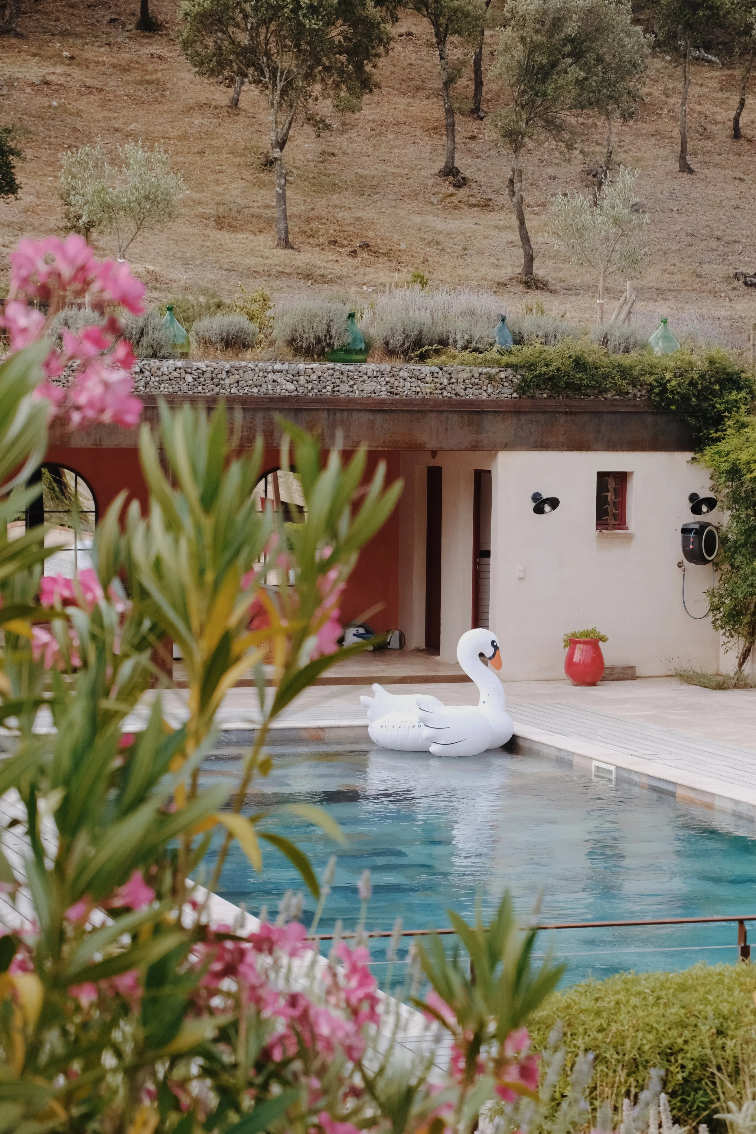 Emma_Lavelle_Madrona_Pool_1.jpeg