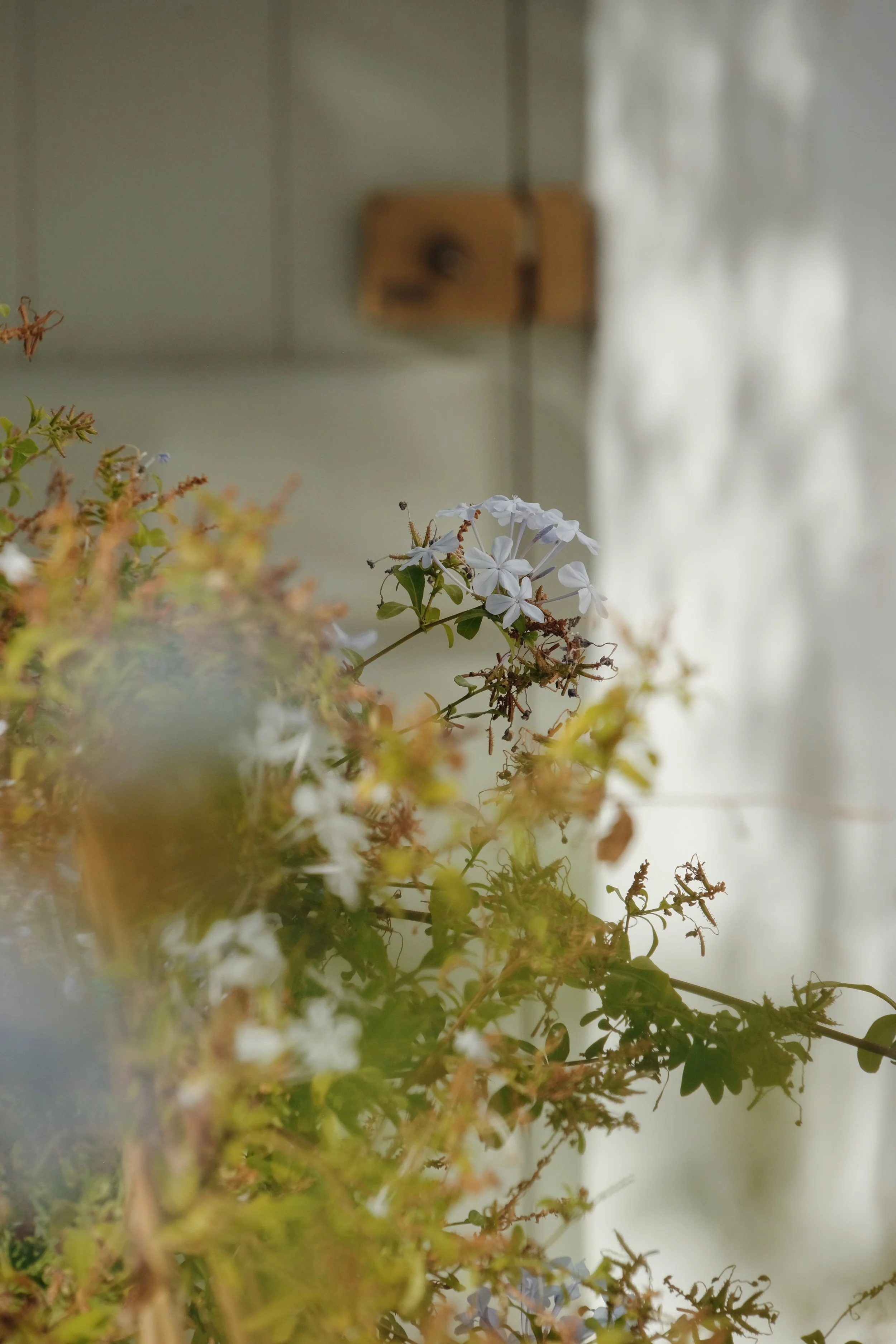 Pagostas - 30 of 773.jpeg