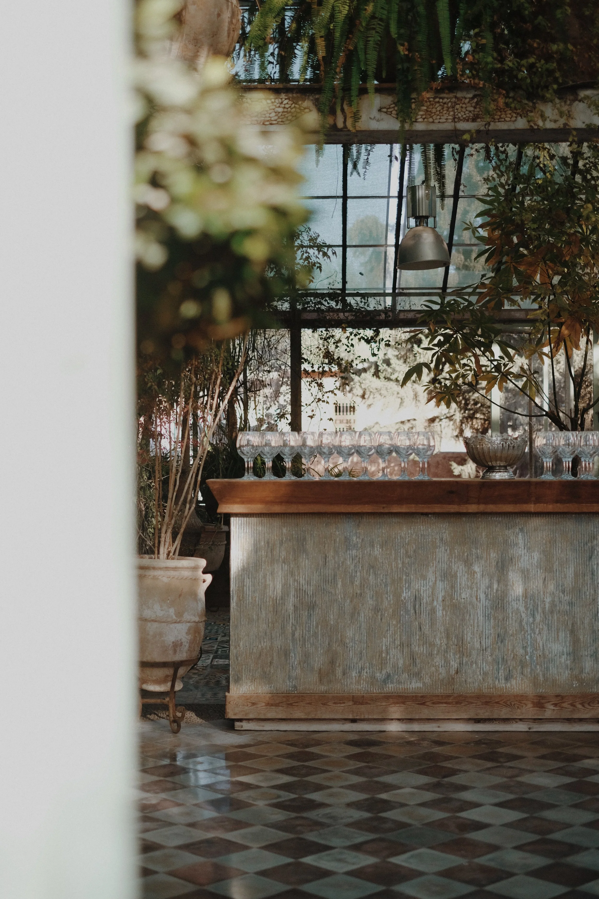 Library - 1 of 1 (2).jpeg