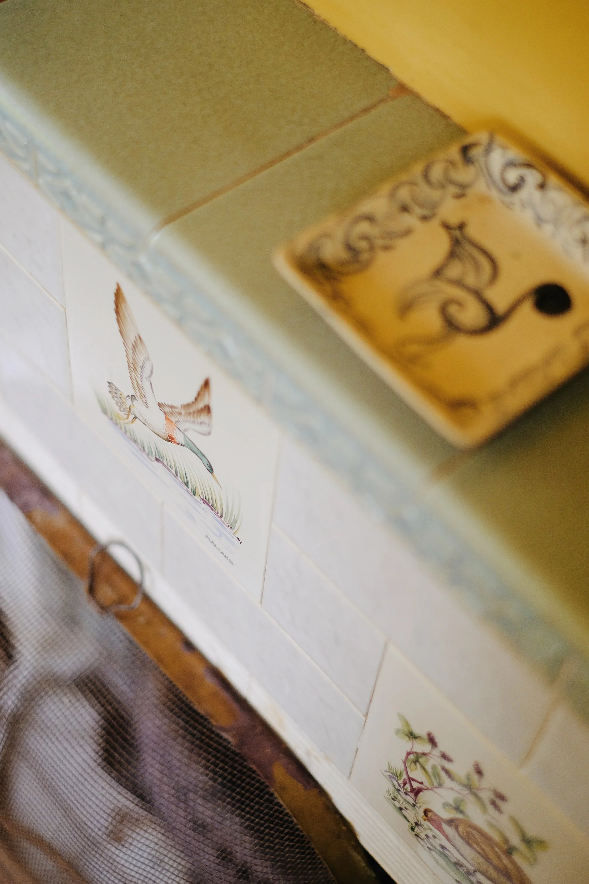 Prussia Cove May 25 - 8 of 15 (1).jpeg