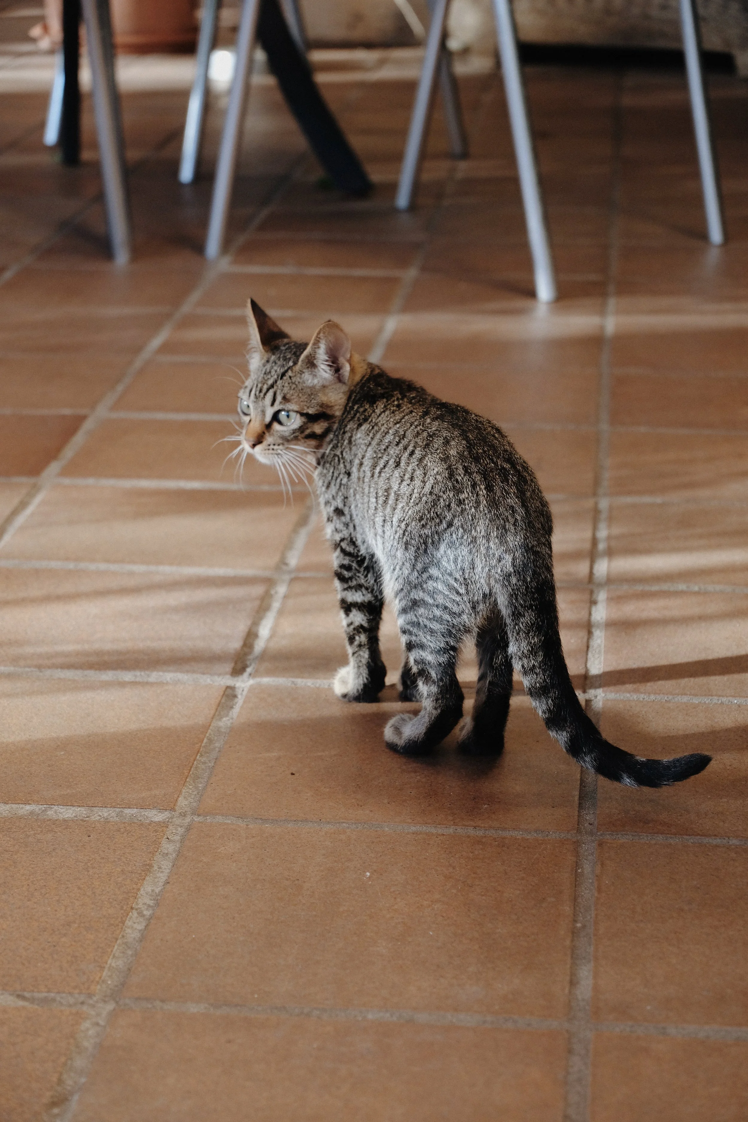 Photo 05-10-2024, 17 11 38.jpg