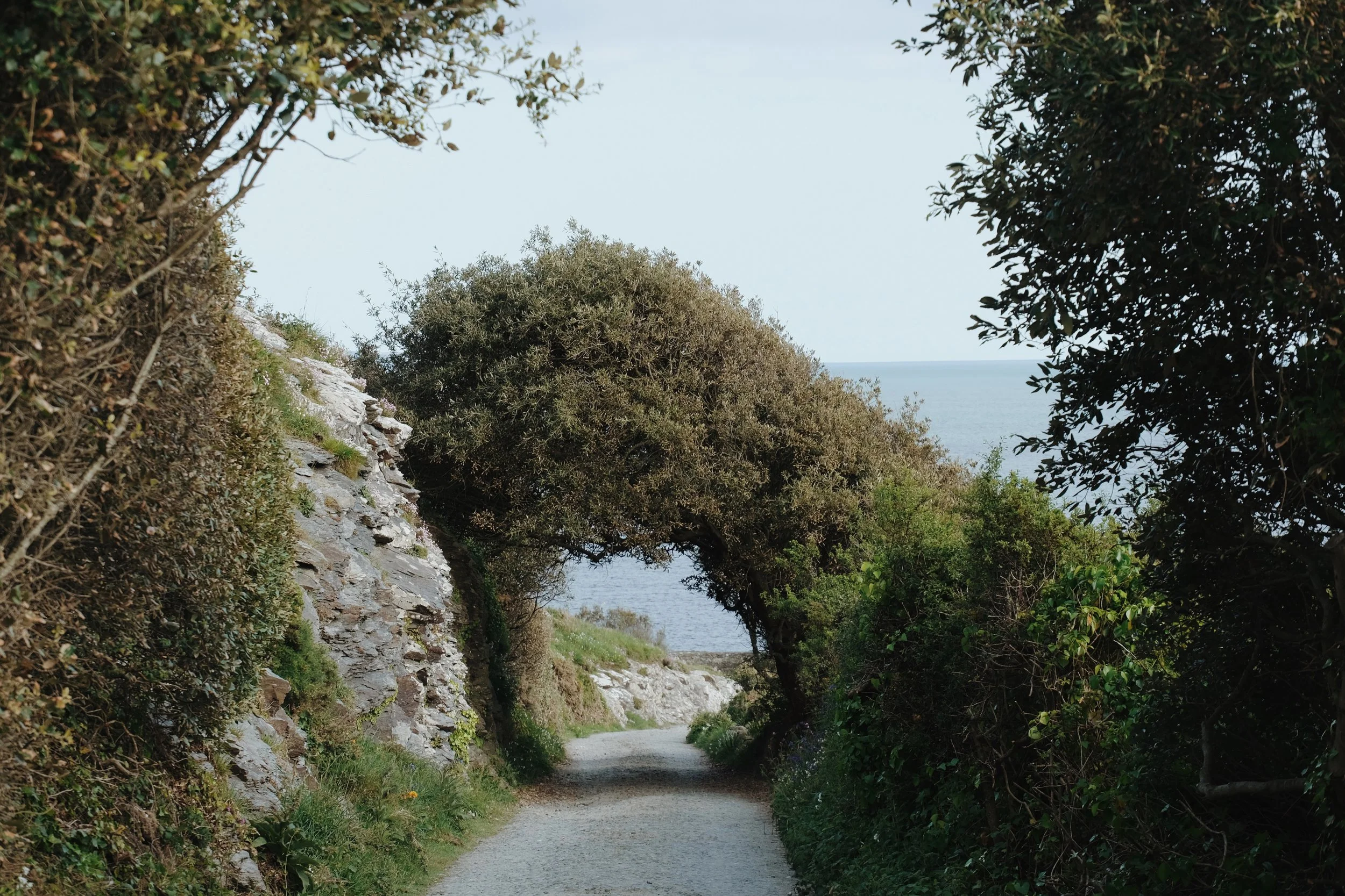 Prussia Cove May 25 - 3 of 15.jpeg