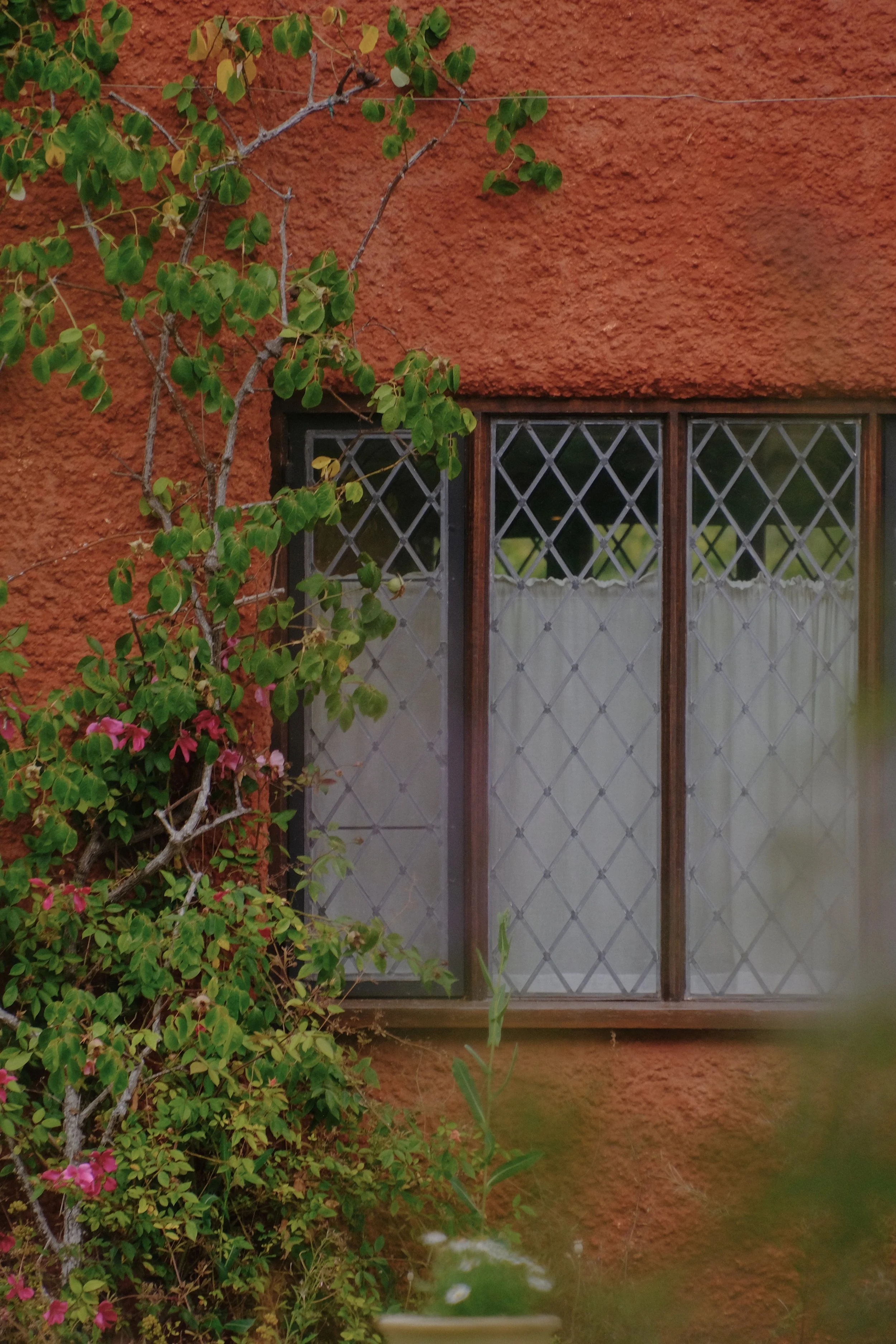 Restaries - 117 of 374.jpeg