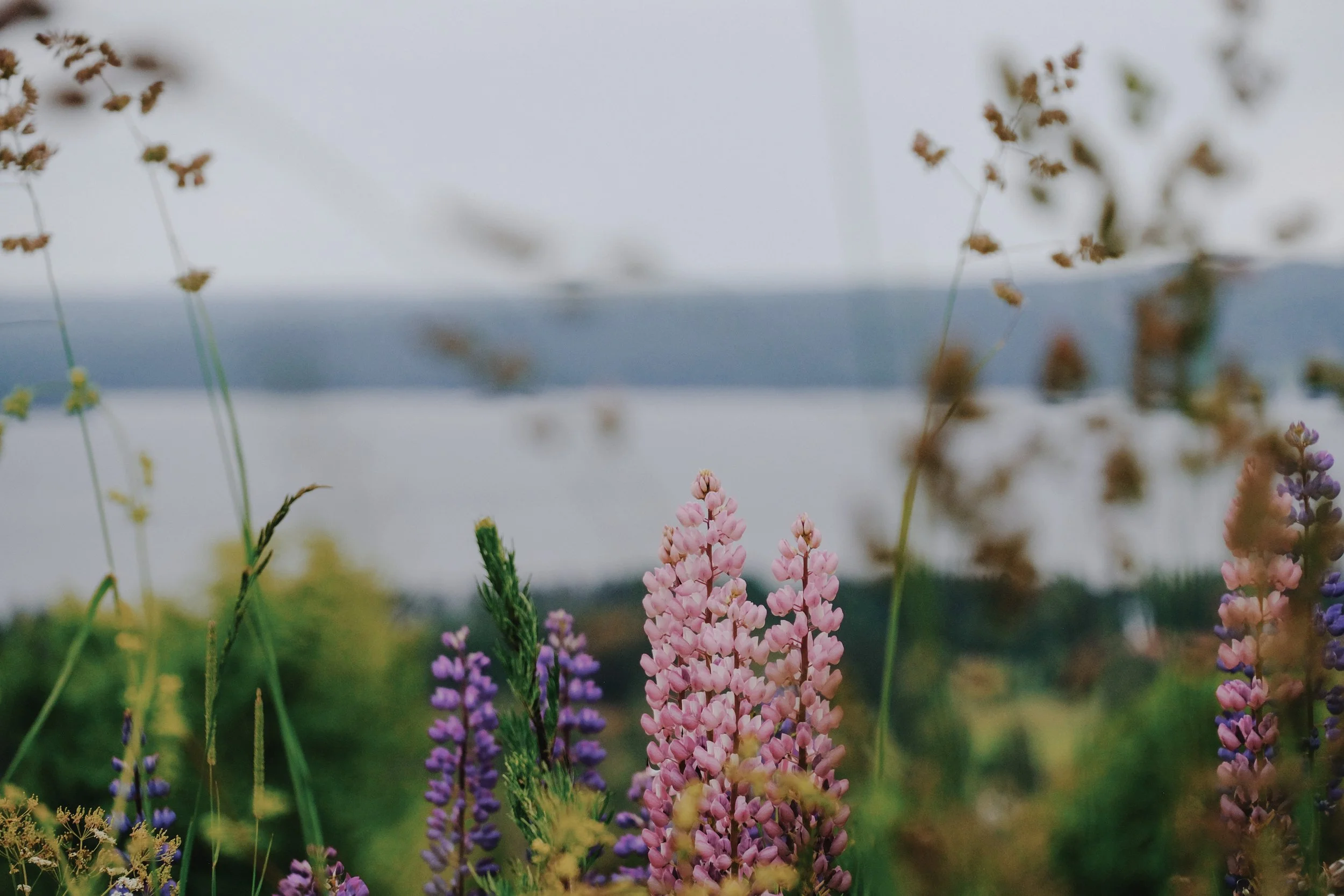 Emma _Lavelle_Sweden_9.jpeg