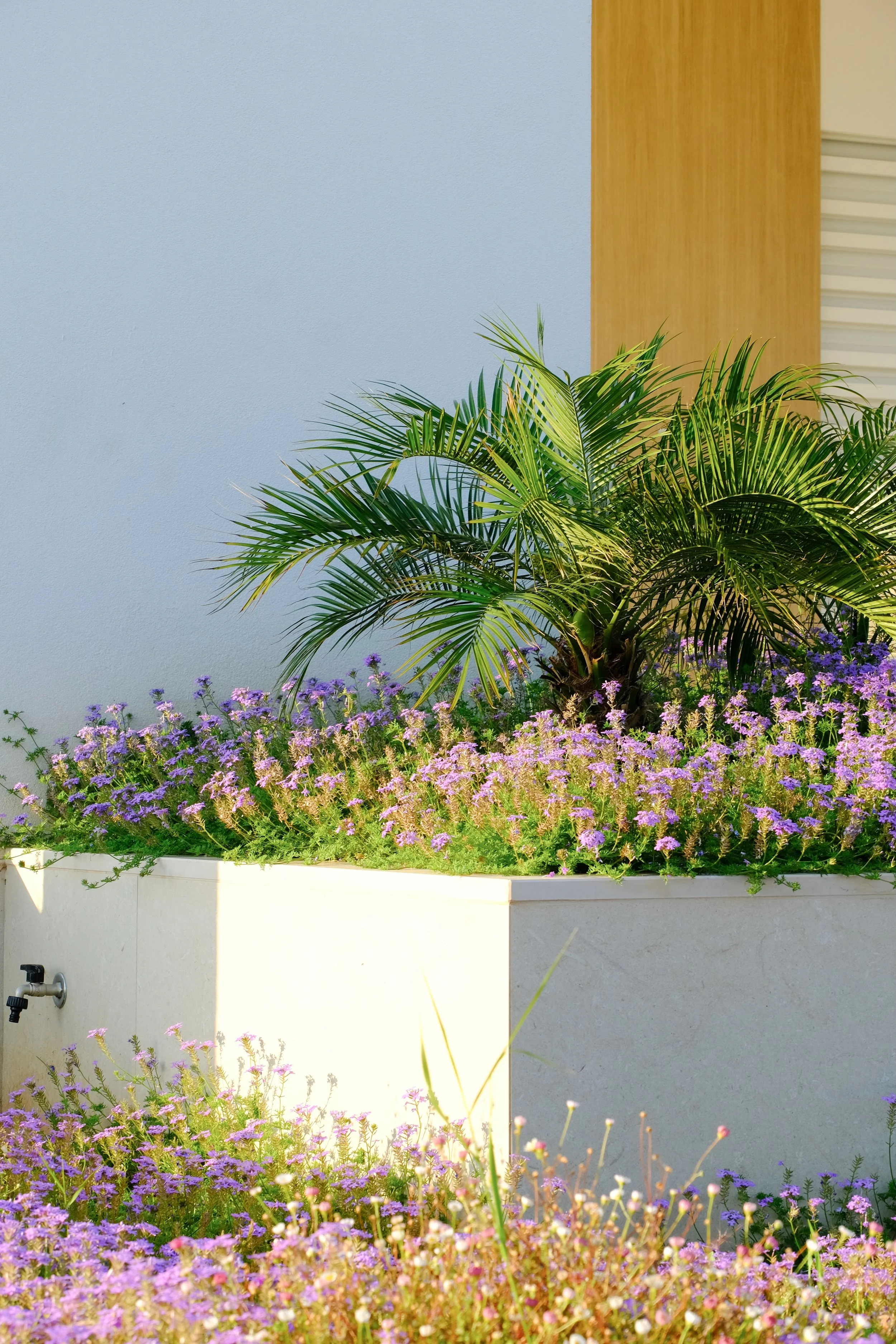 Favourites - 2 of 3 (1).jpeg