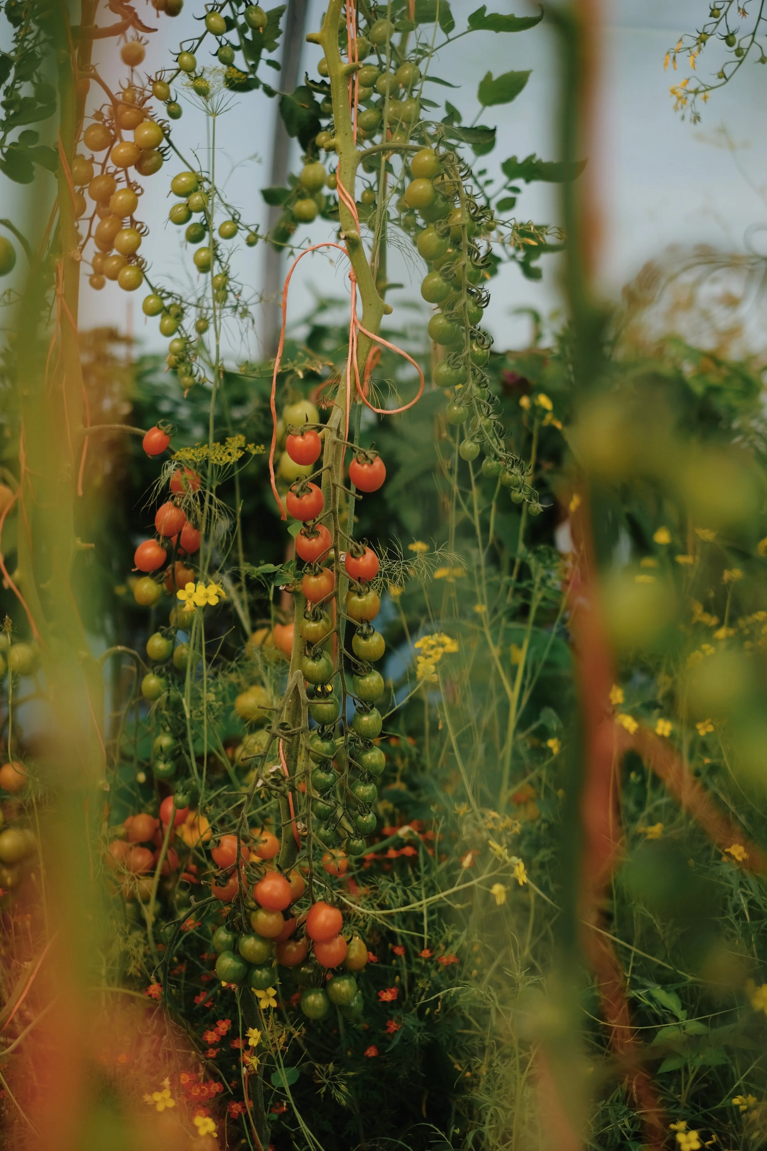 Library - 2 of 5.jpeg