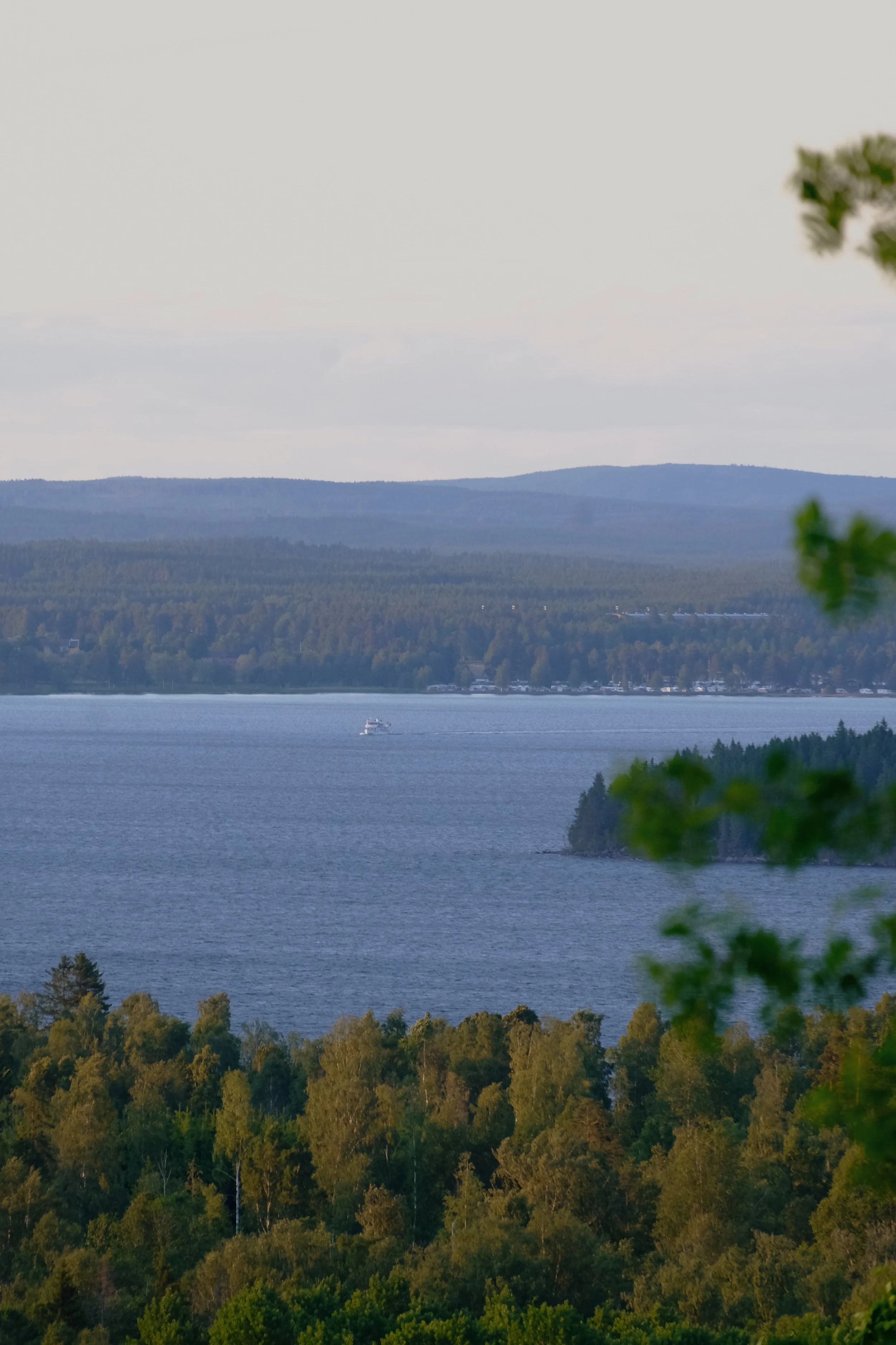 Emma _Lavelle_Sweden_990.jpeg