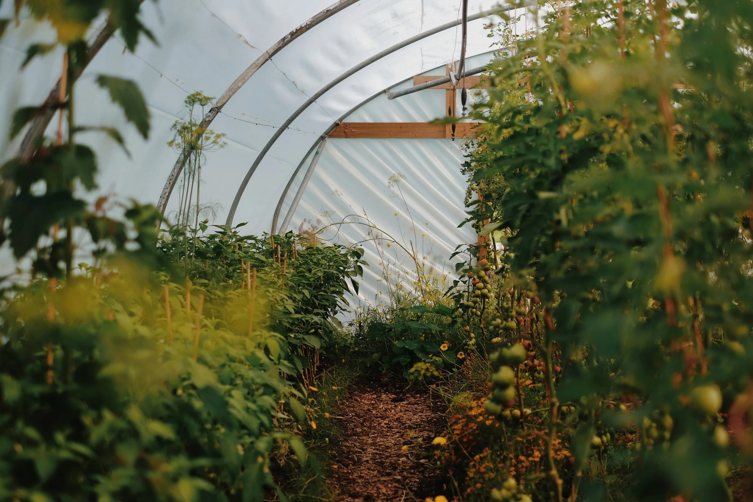 Library - 4 of 5.jpeg