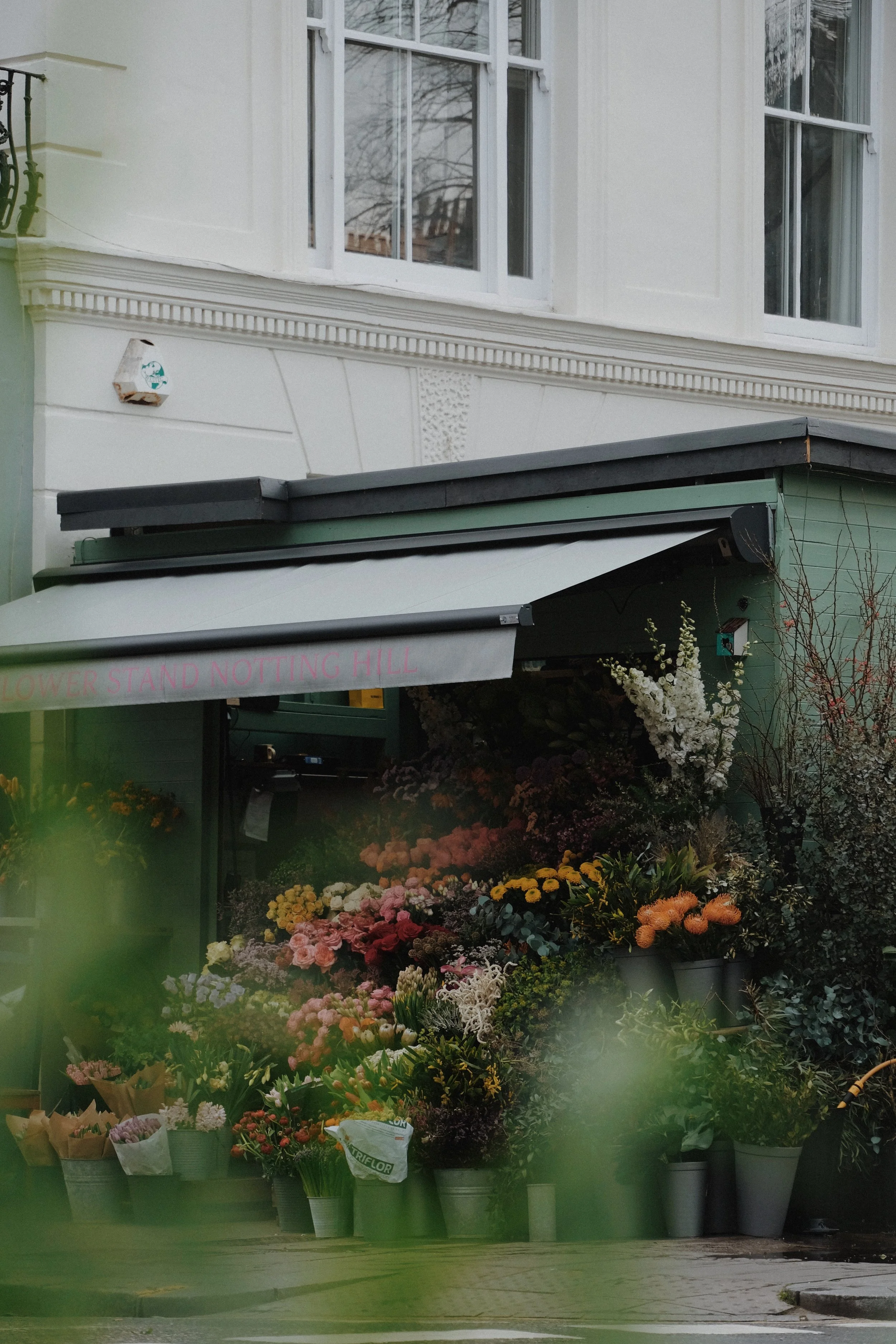 Frances Loom - 71 of 417.jpeg