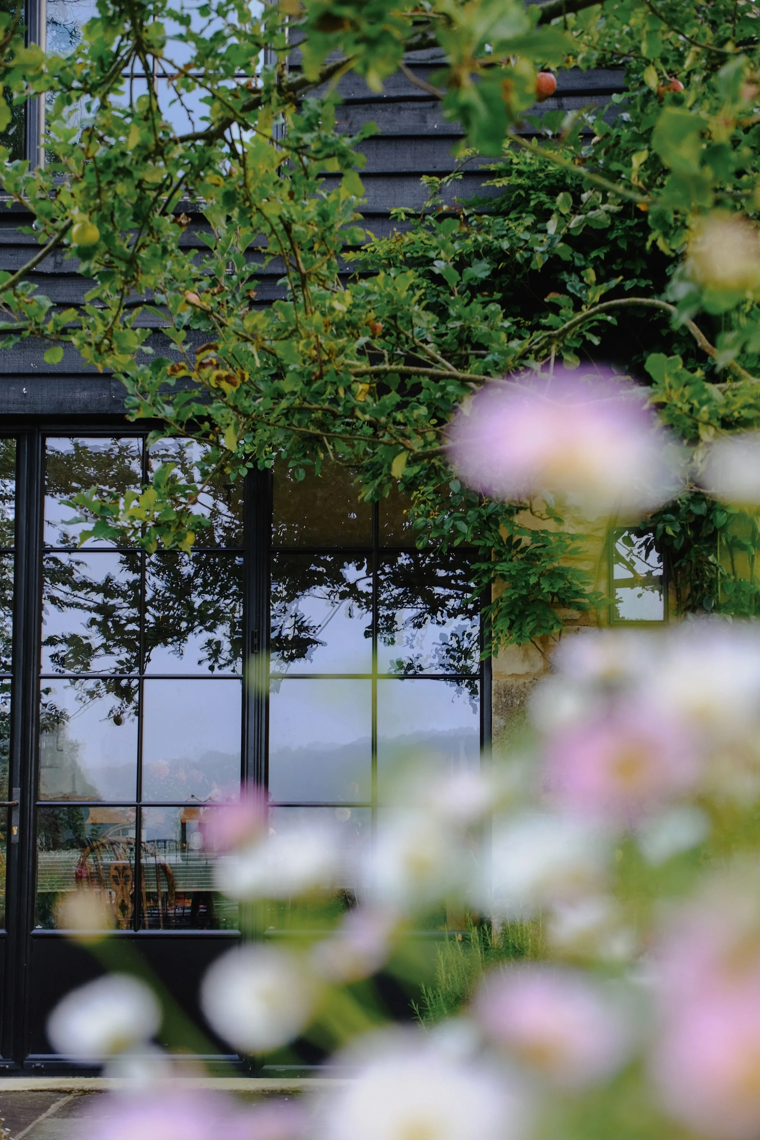 Library - 1 of 1 (16).jpeg