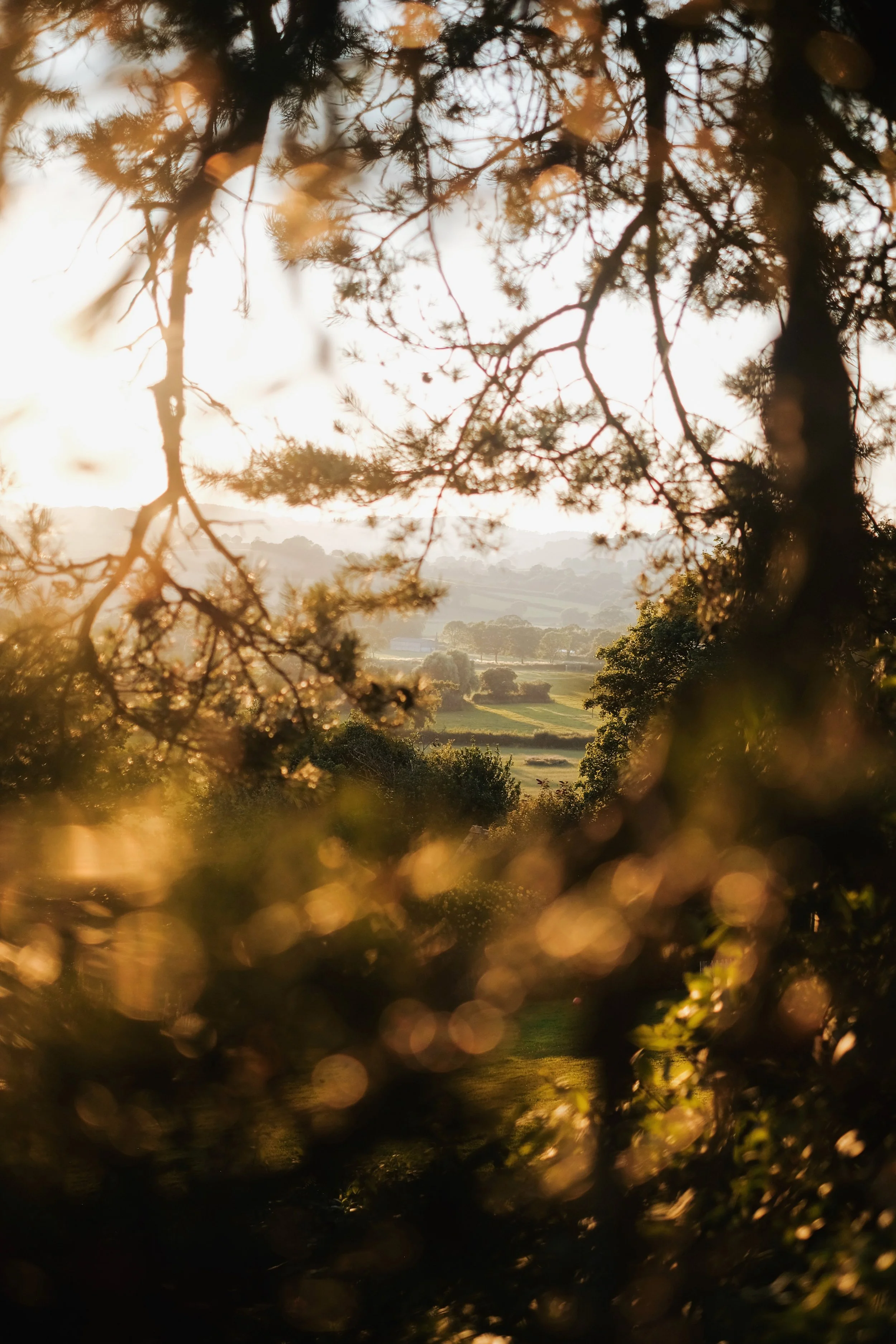 Library - 1 of 1 (15).jpeg