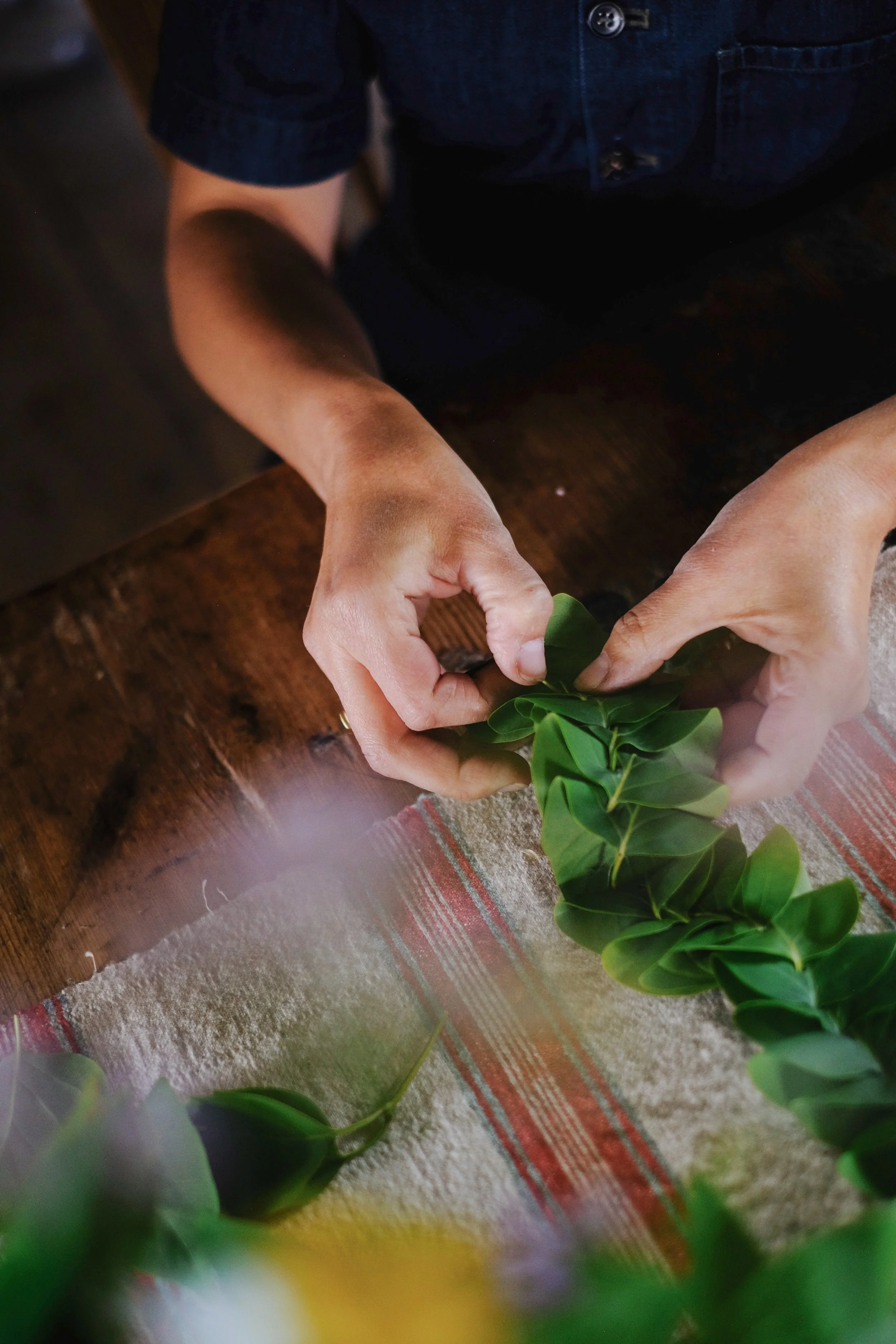 Emma _Lavelle_Sweden_714.jpeg