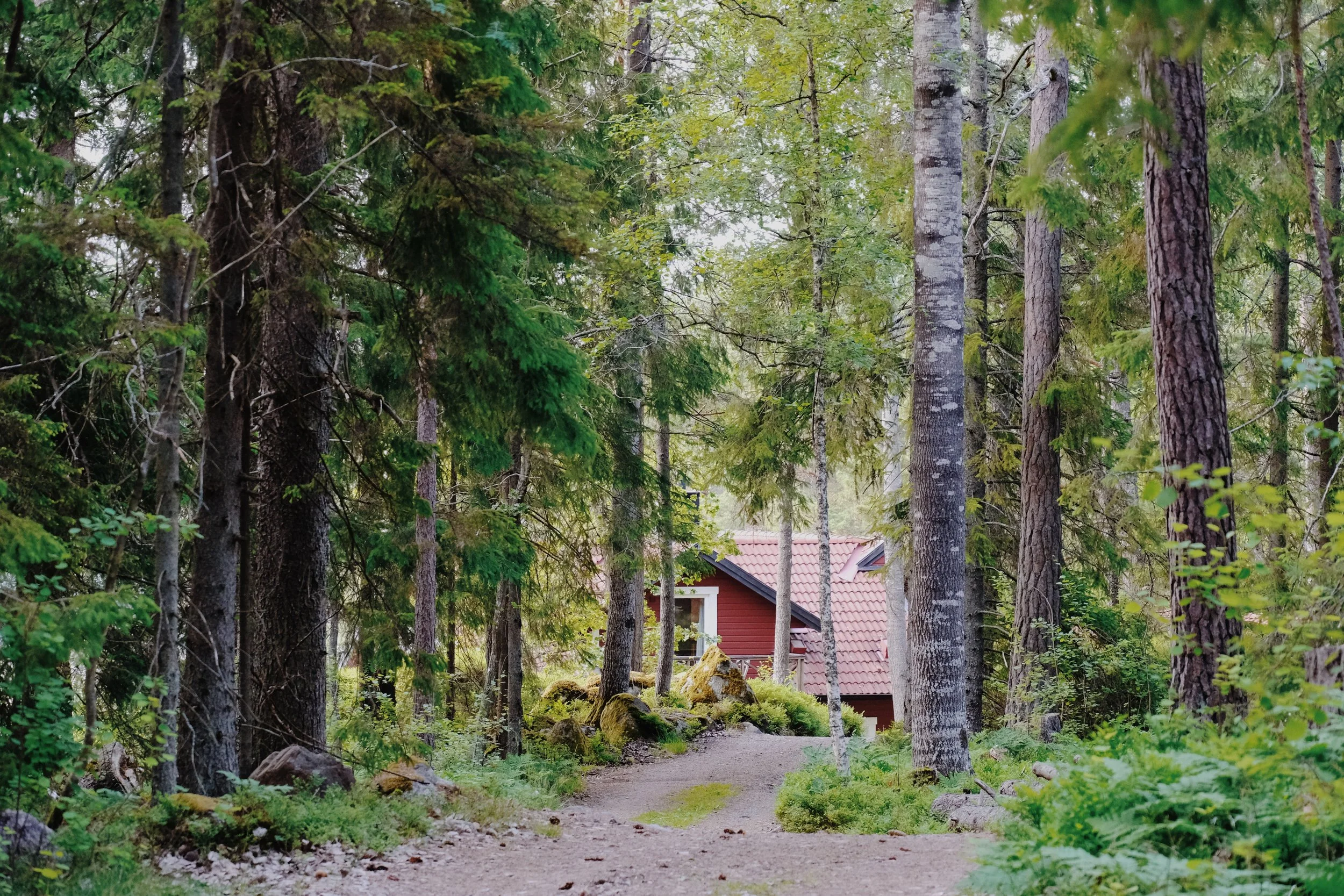 Emma _Lavelle_Sweden_198.jpeg