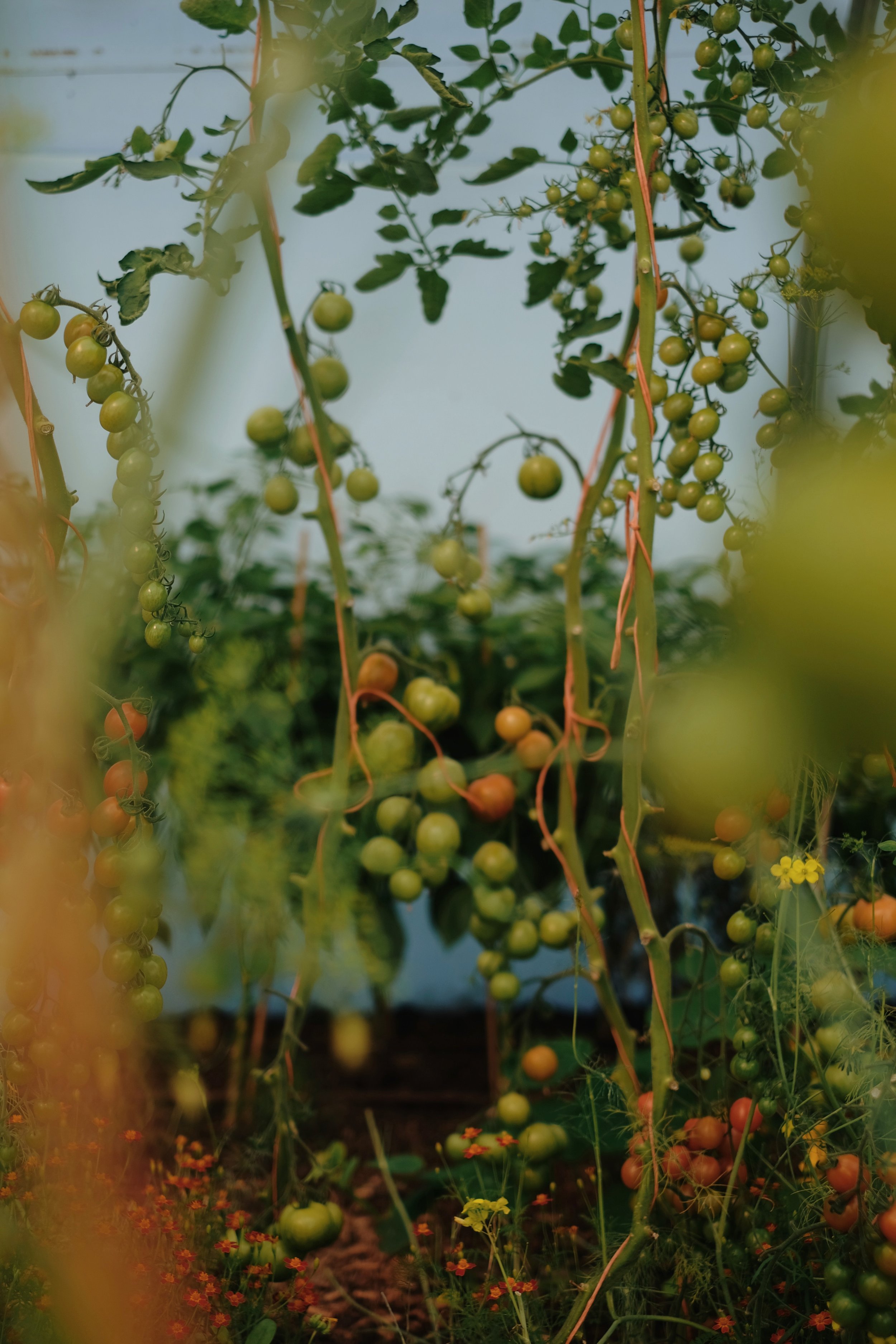 Library - 1 of 5.jpeg