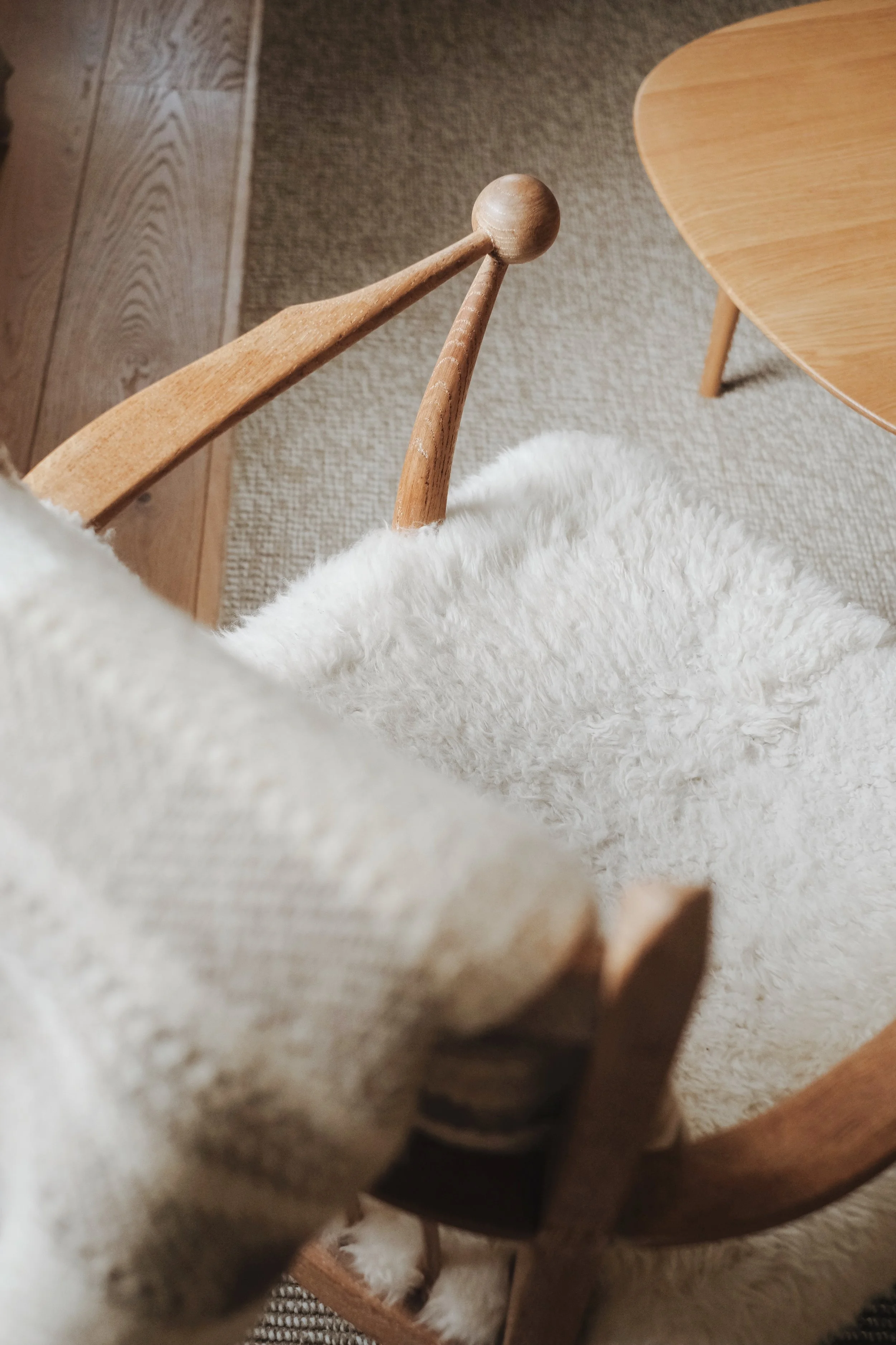 Fowlescombe - 291 of 618.jpeg