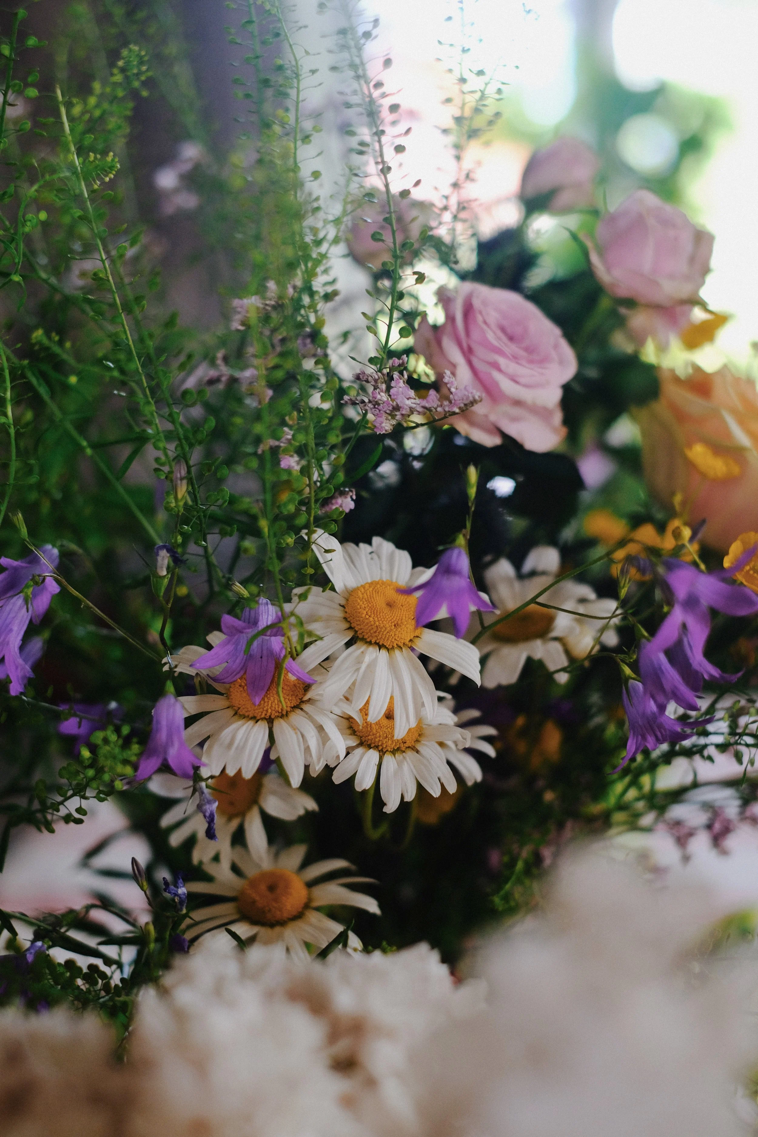 Emma _Lavelle_Sweden_730.jpeg