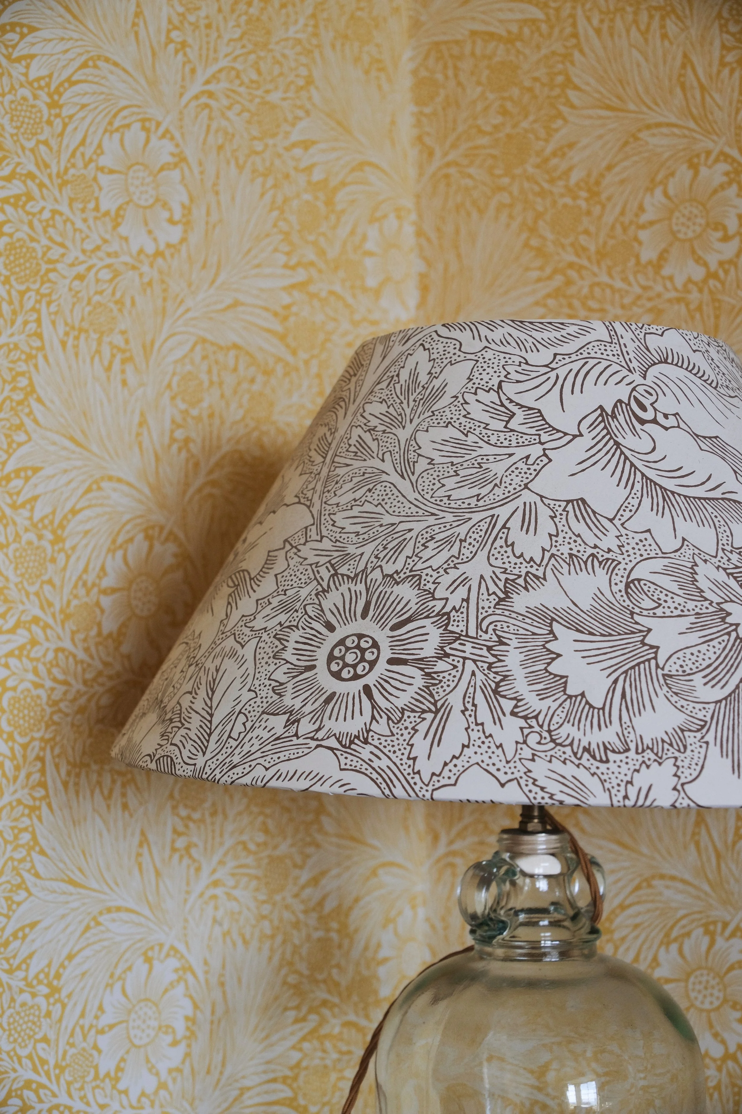 Prussia Cove Feb 25 - 1 of 15.jpeg